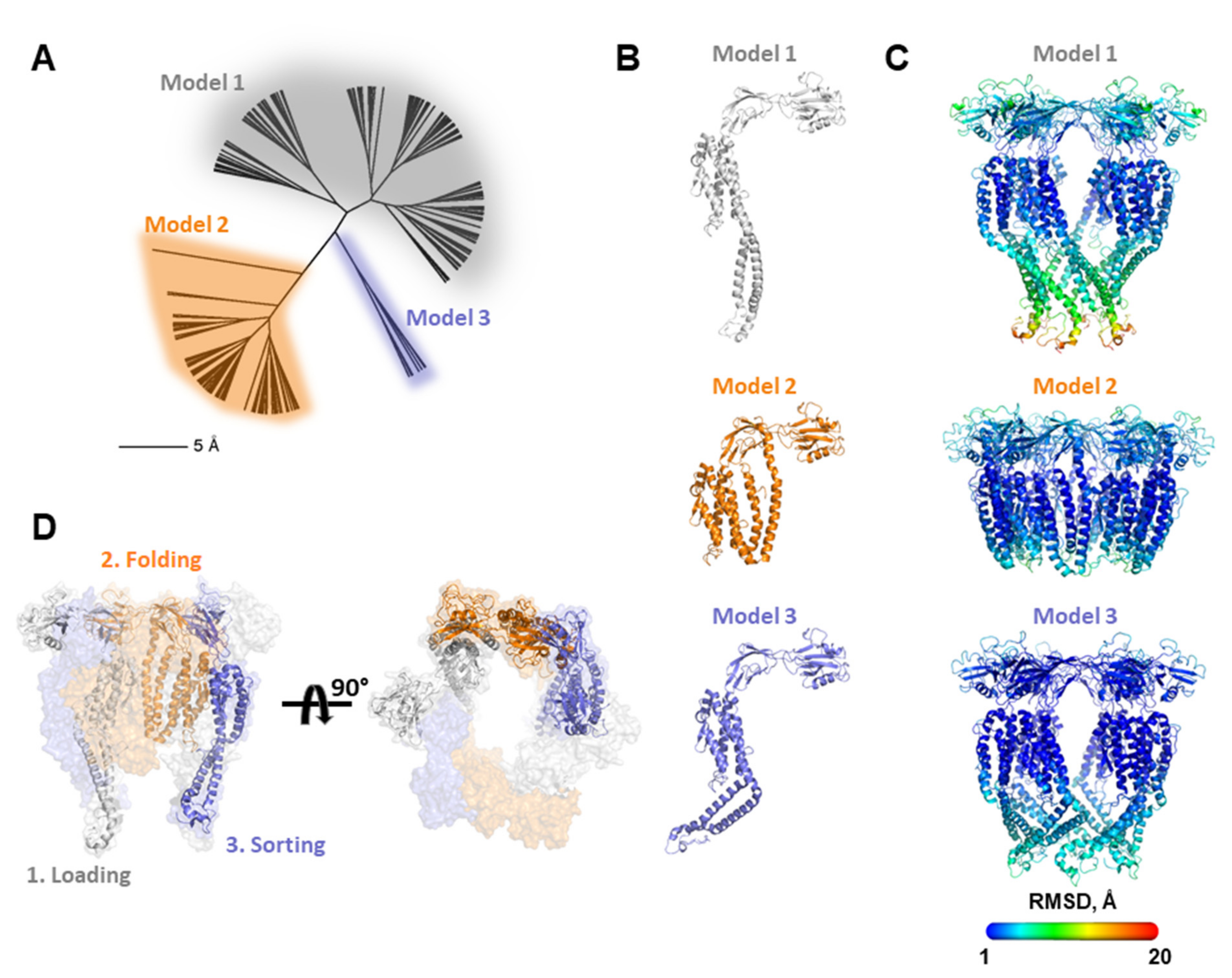 Biomolecules 11 01397 g006