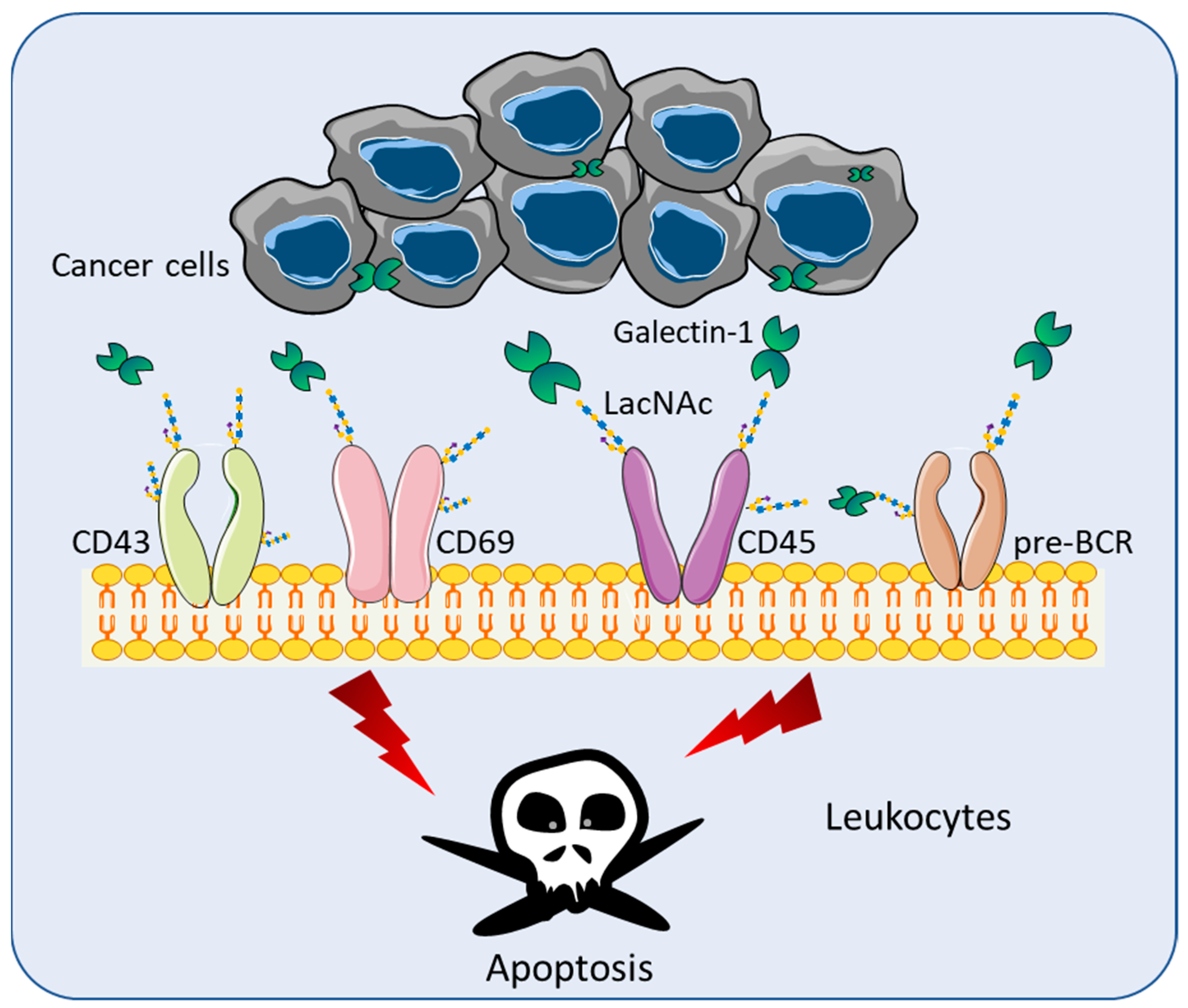 Biomolecules 11 01398 g001