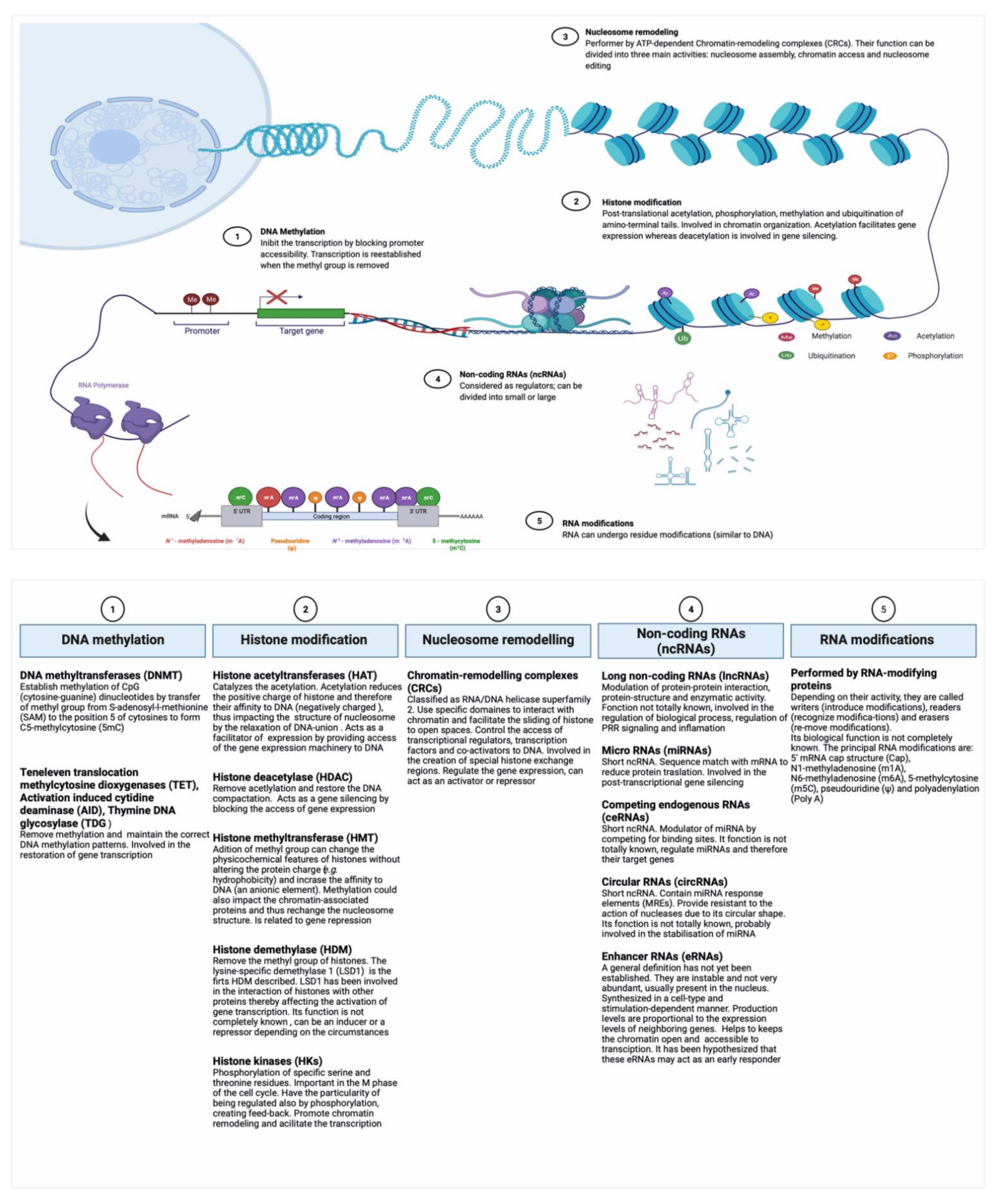 Biomolecules 11 01402 g001
