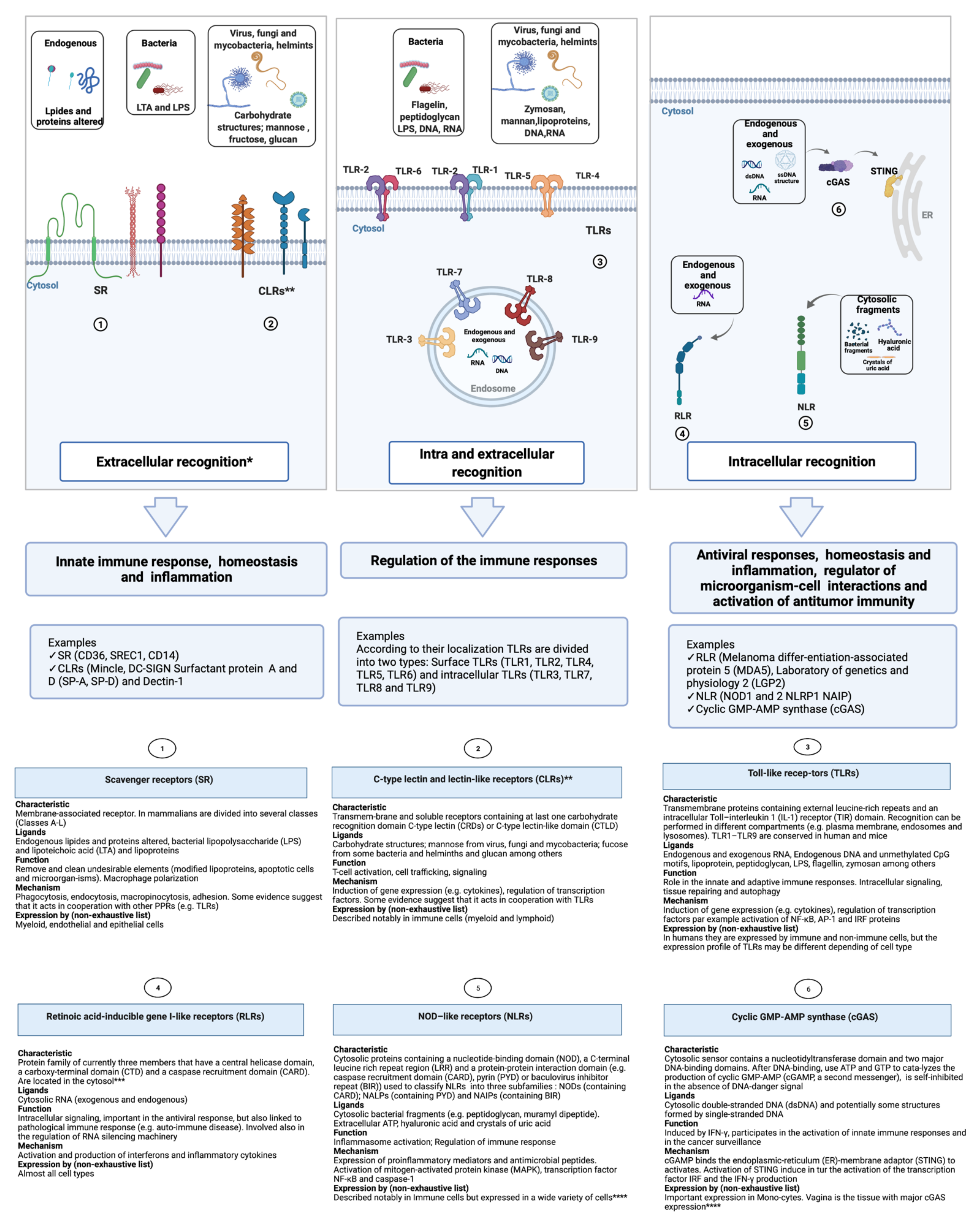Biomolecules 11 01402 g002
