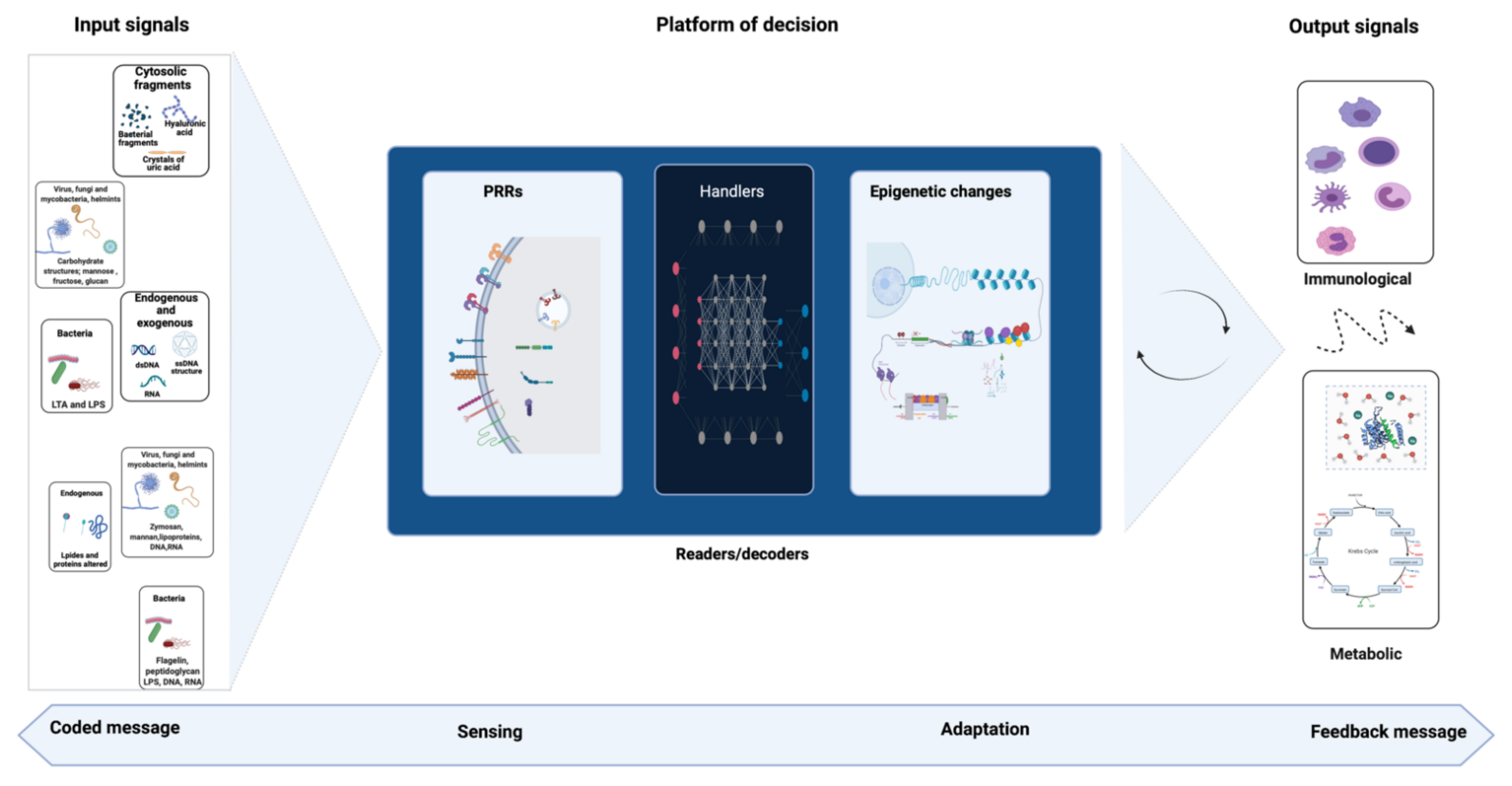 Biomolecules 11 01402 g003