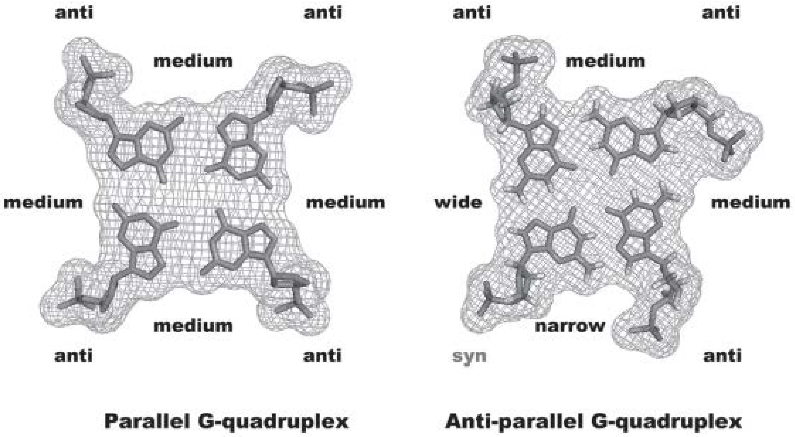 Biomolecules 11 01404 g005