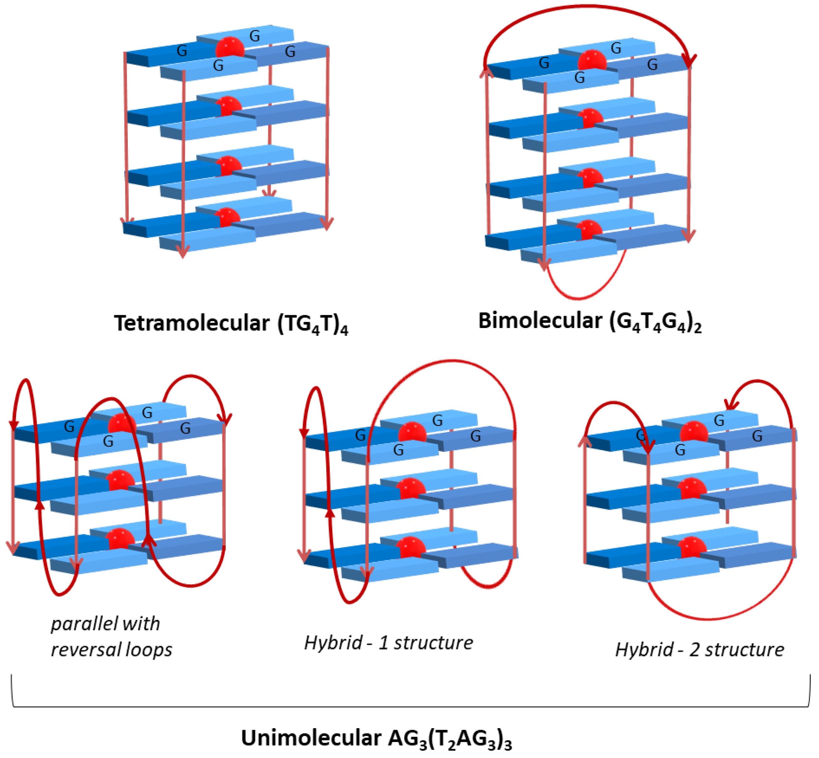Biomolecules 11 01404 g015