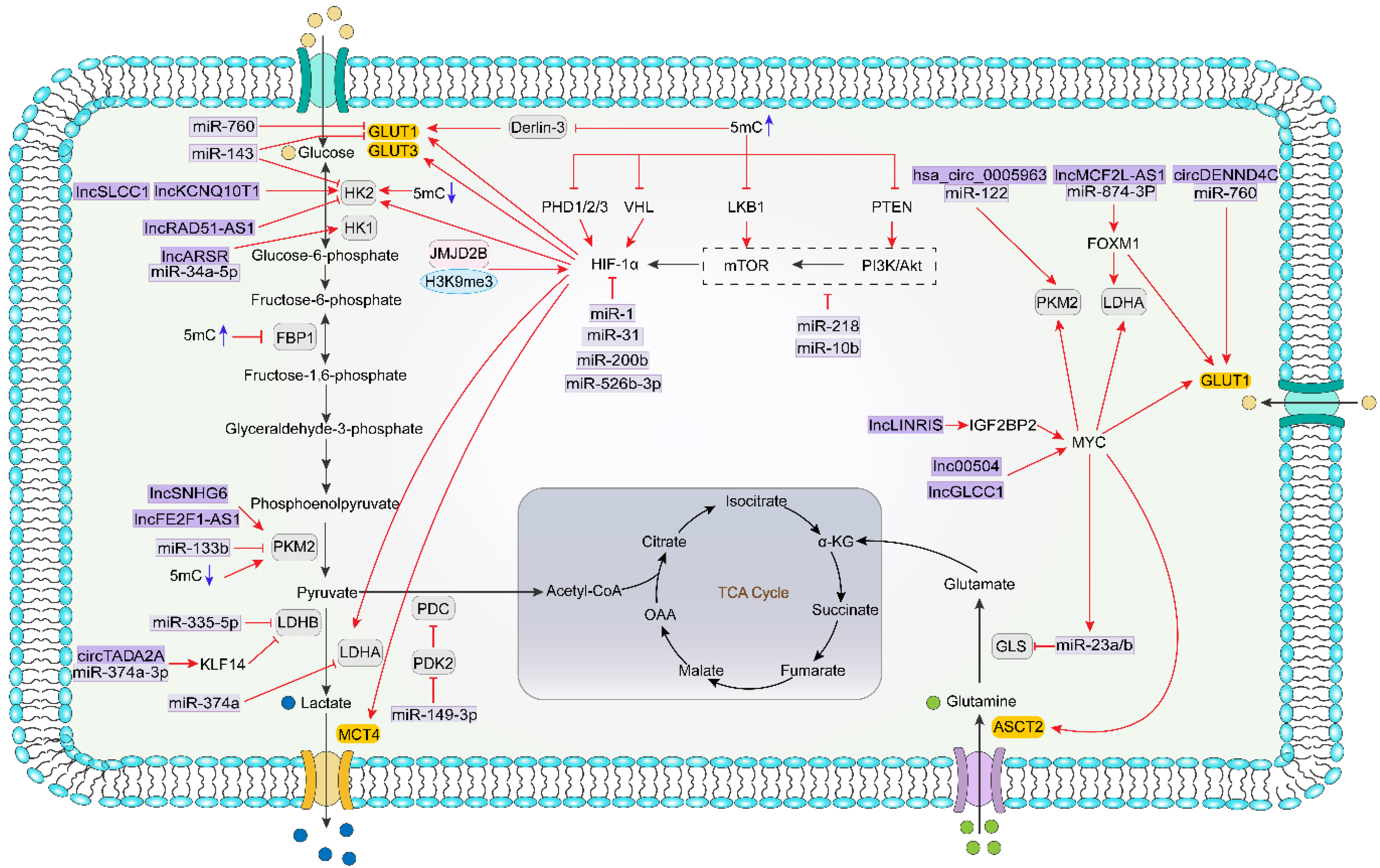 Biomolecules 11 01406 g002 550