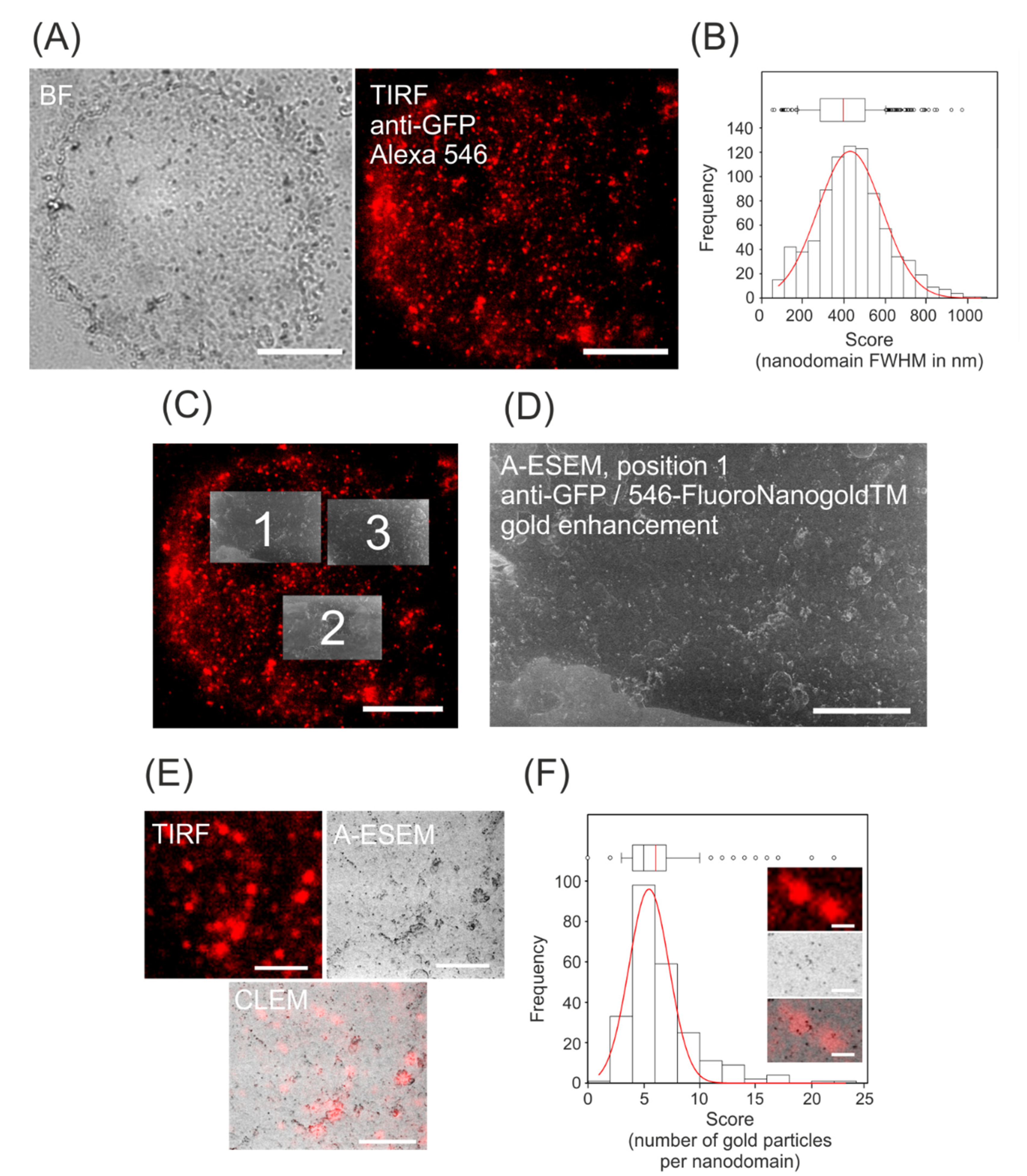 Biomolecules 11 01407 g002 Biomolecules 11 01407 g002