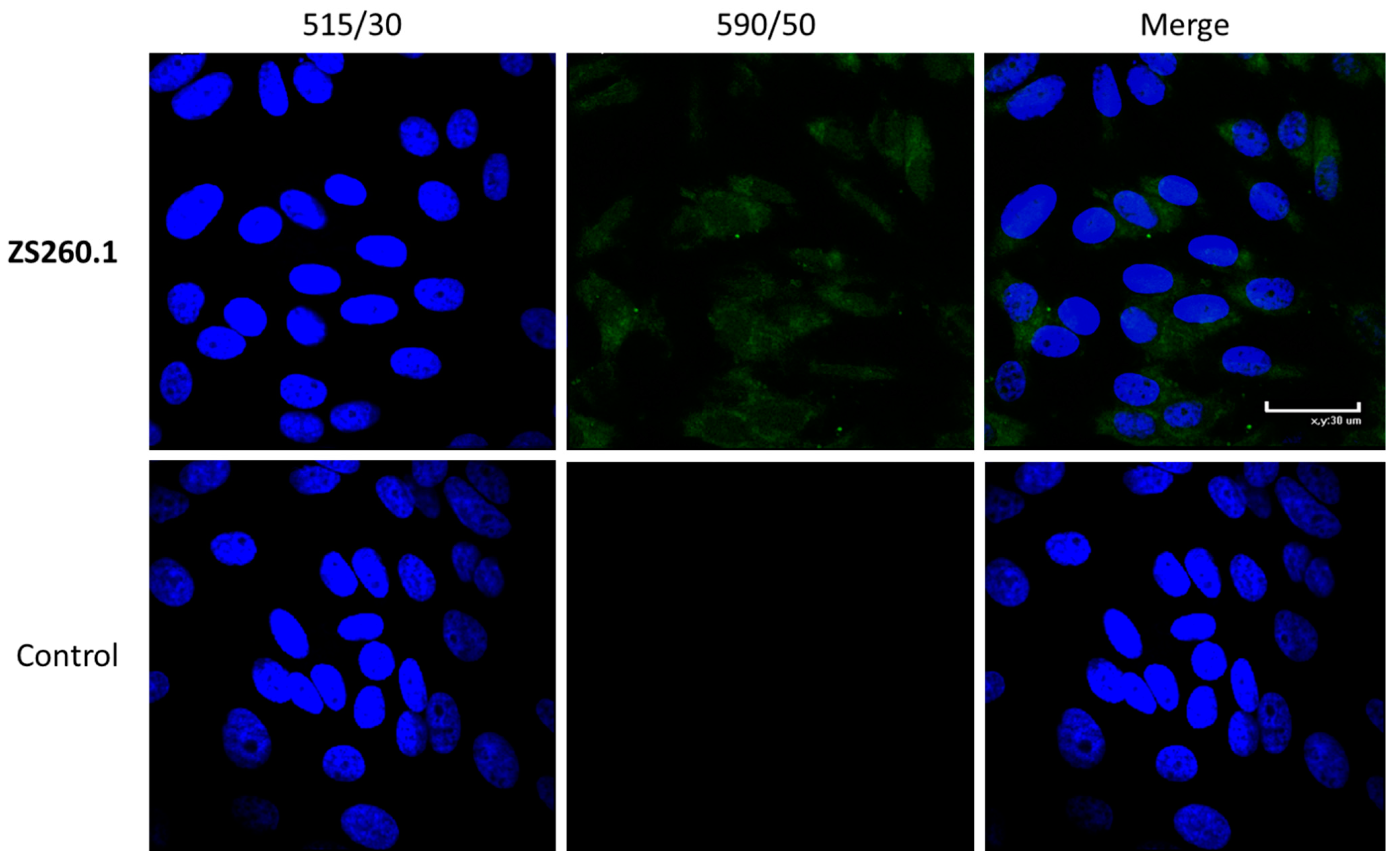 Biomolecules 11 01409 g008 550