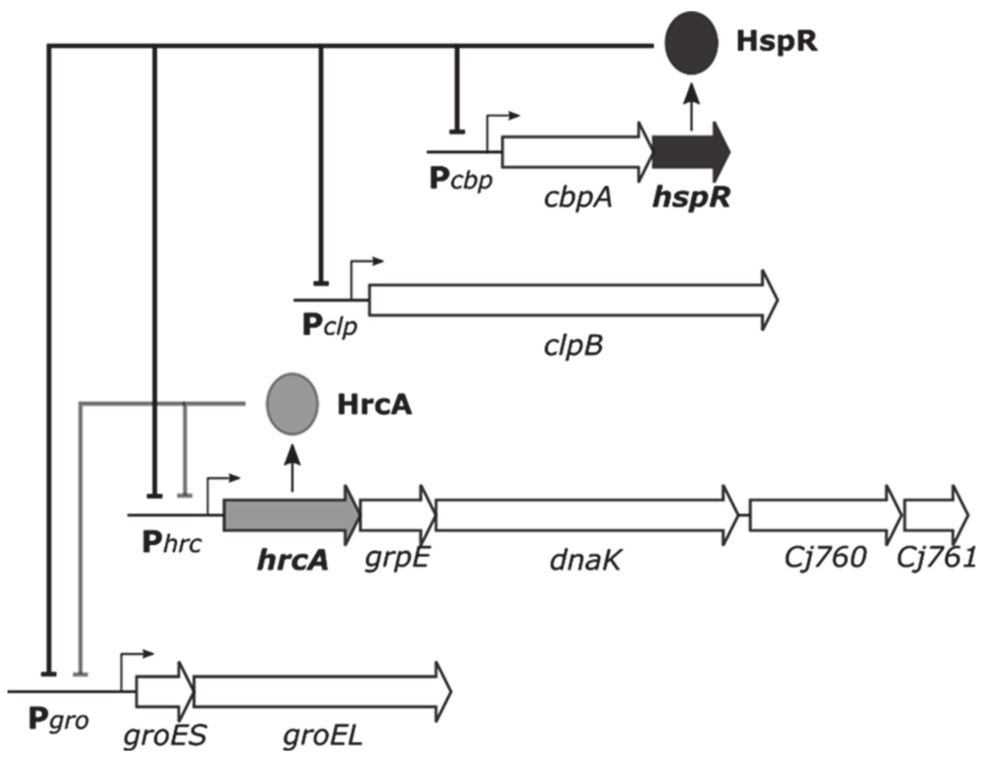 Biomolecules 11 01413 g001 Biomolecules 11 01413 g001