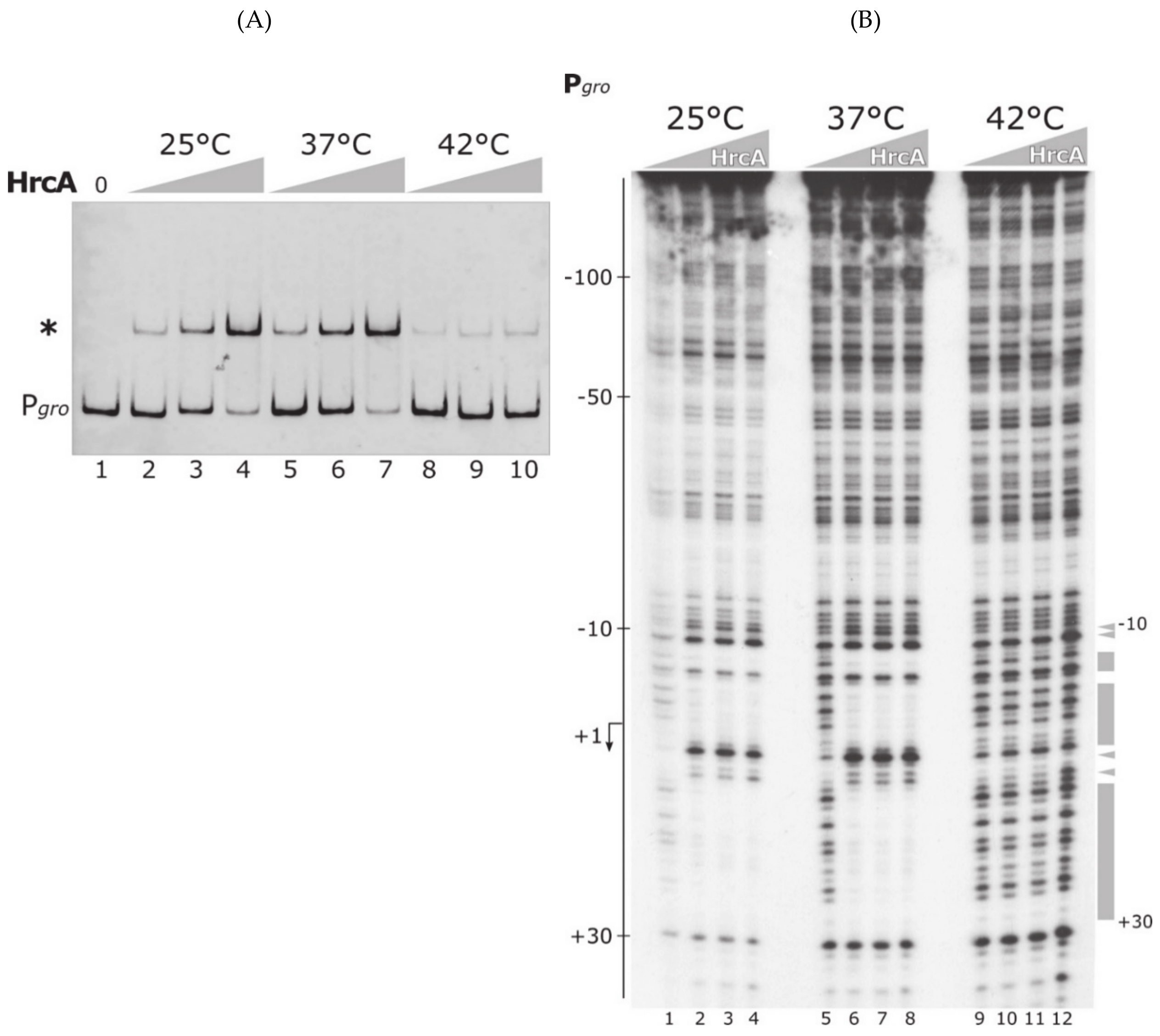 Biomolecules 11 01413 g002 Biomolecules 11 01413 g002