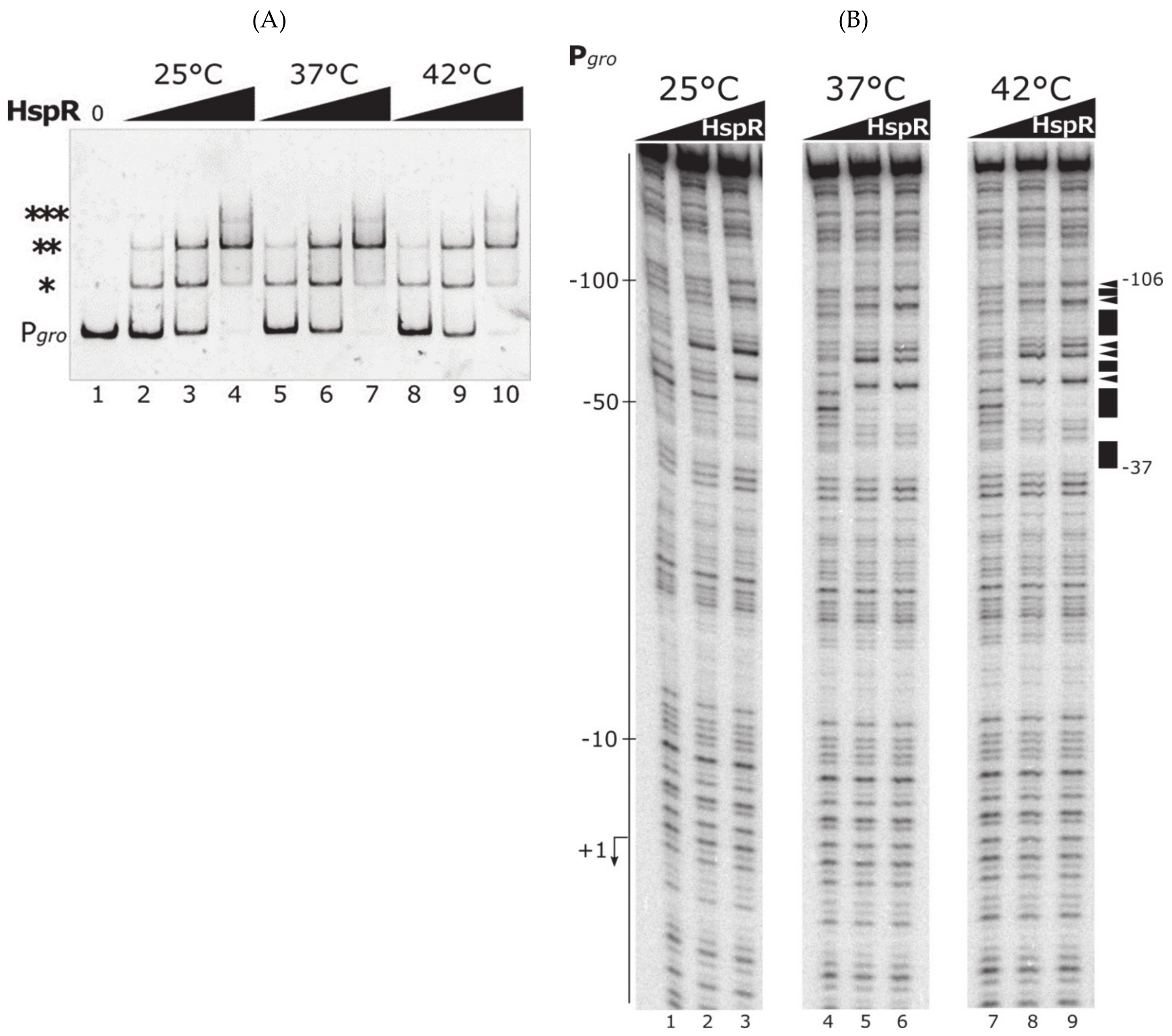 Biomolecules 11 01413 g003 Biomolecules 11 01413 g003