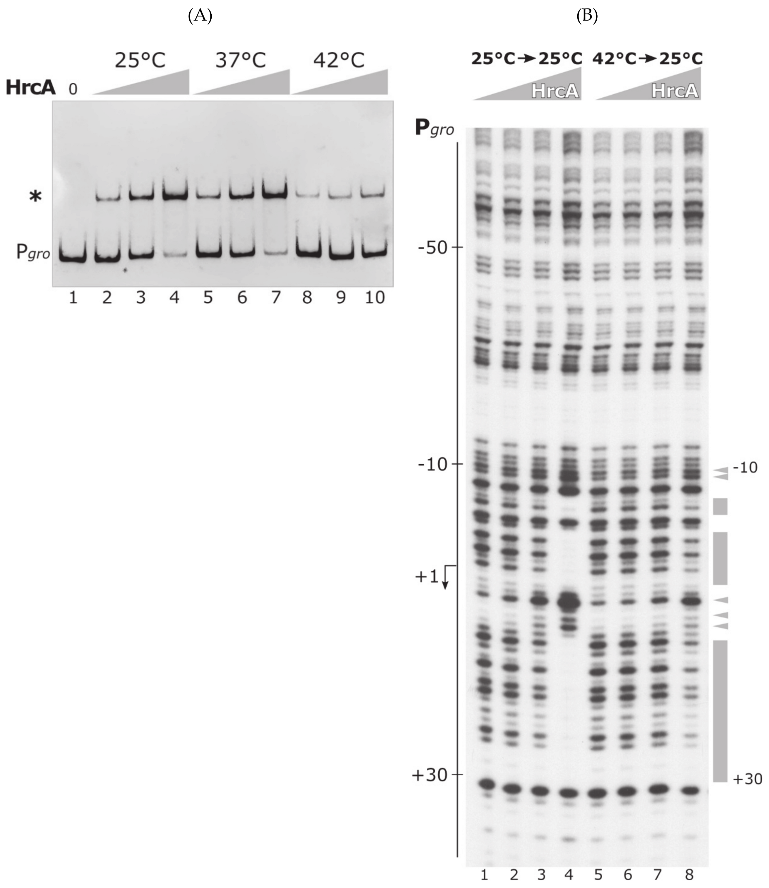 Biomolecules 11 01413 g005 Biomolecules 11 01413 g005