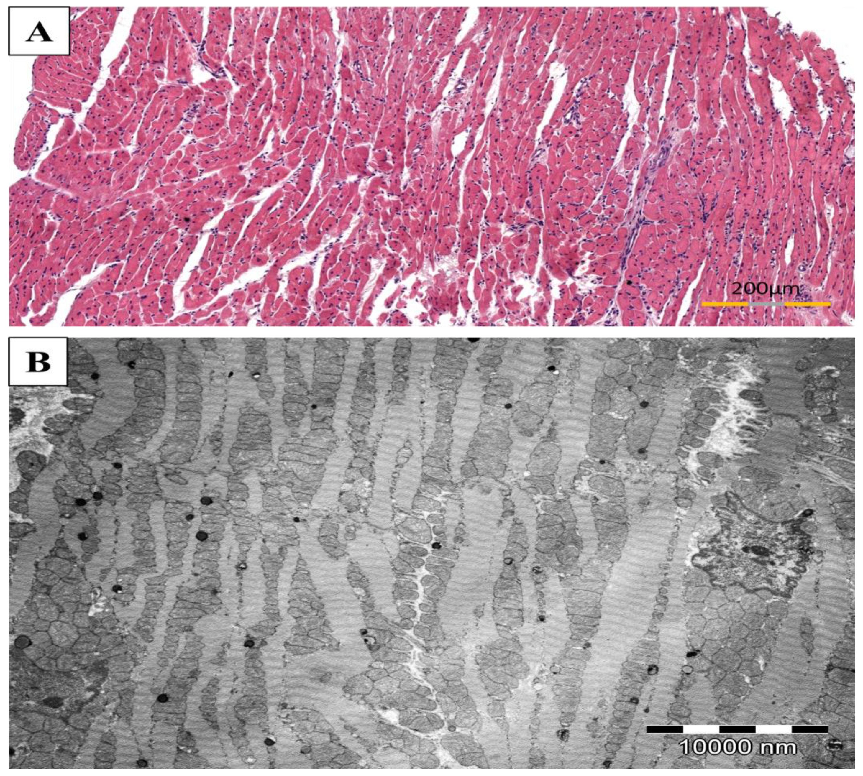 Biomolecules 11 01415 g004