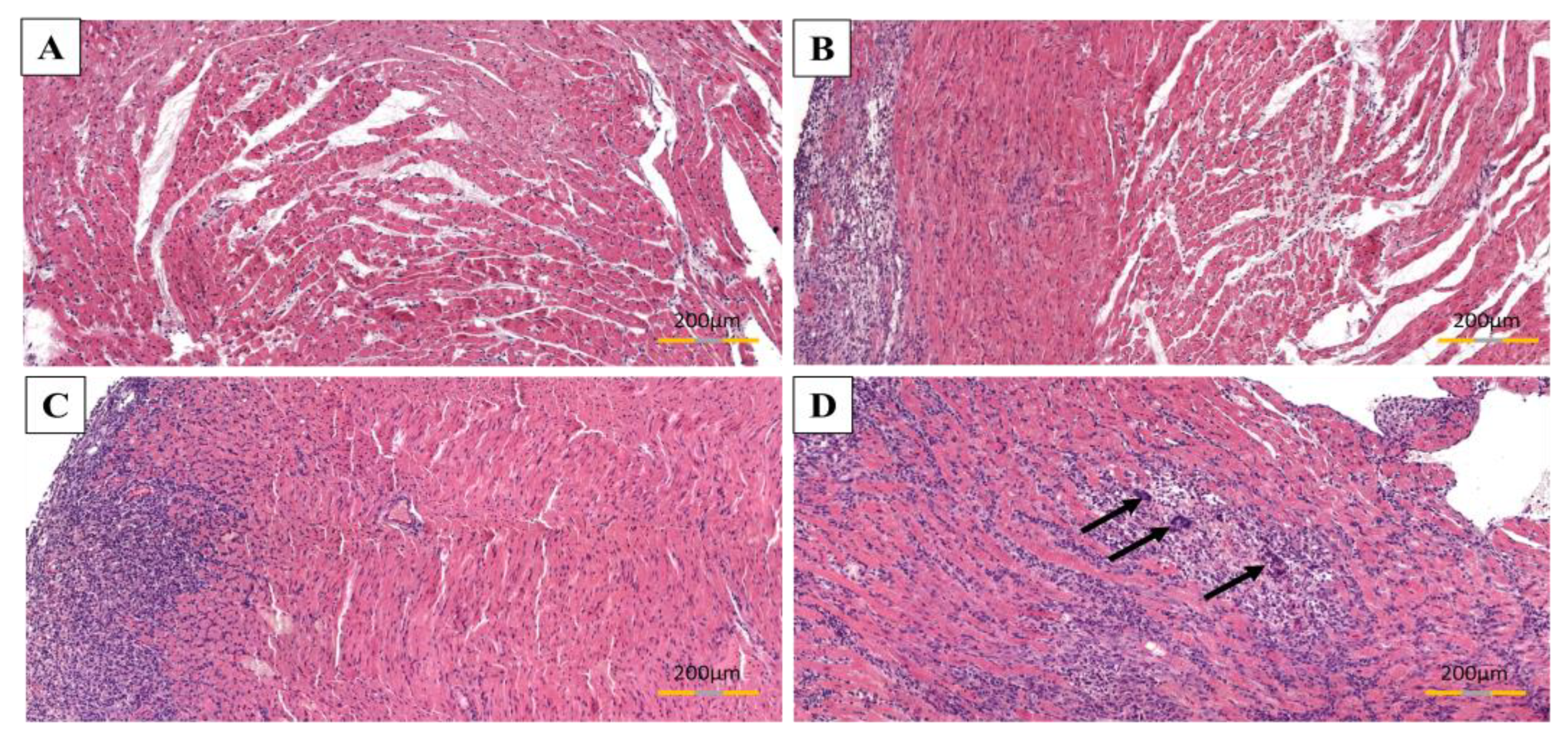 Biomolecules 11 01415 g005