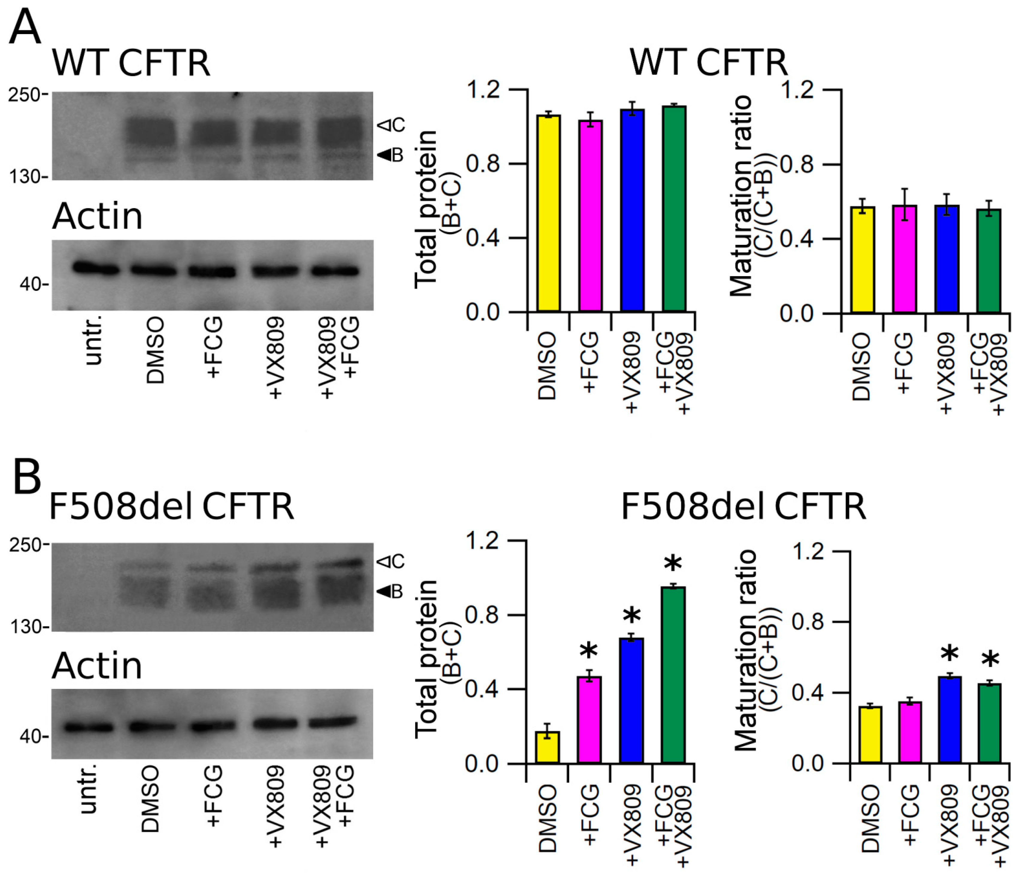 biomolecules free full text nbd2 is required for the rescue of mutant f508del cftr by a thiazole based molecule a class ii corrector for the multi drug therapy of cystic fibrosis html
