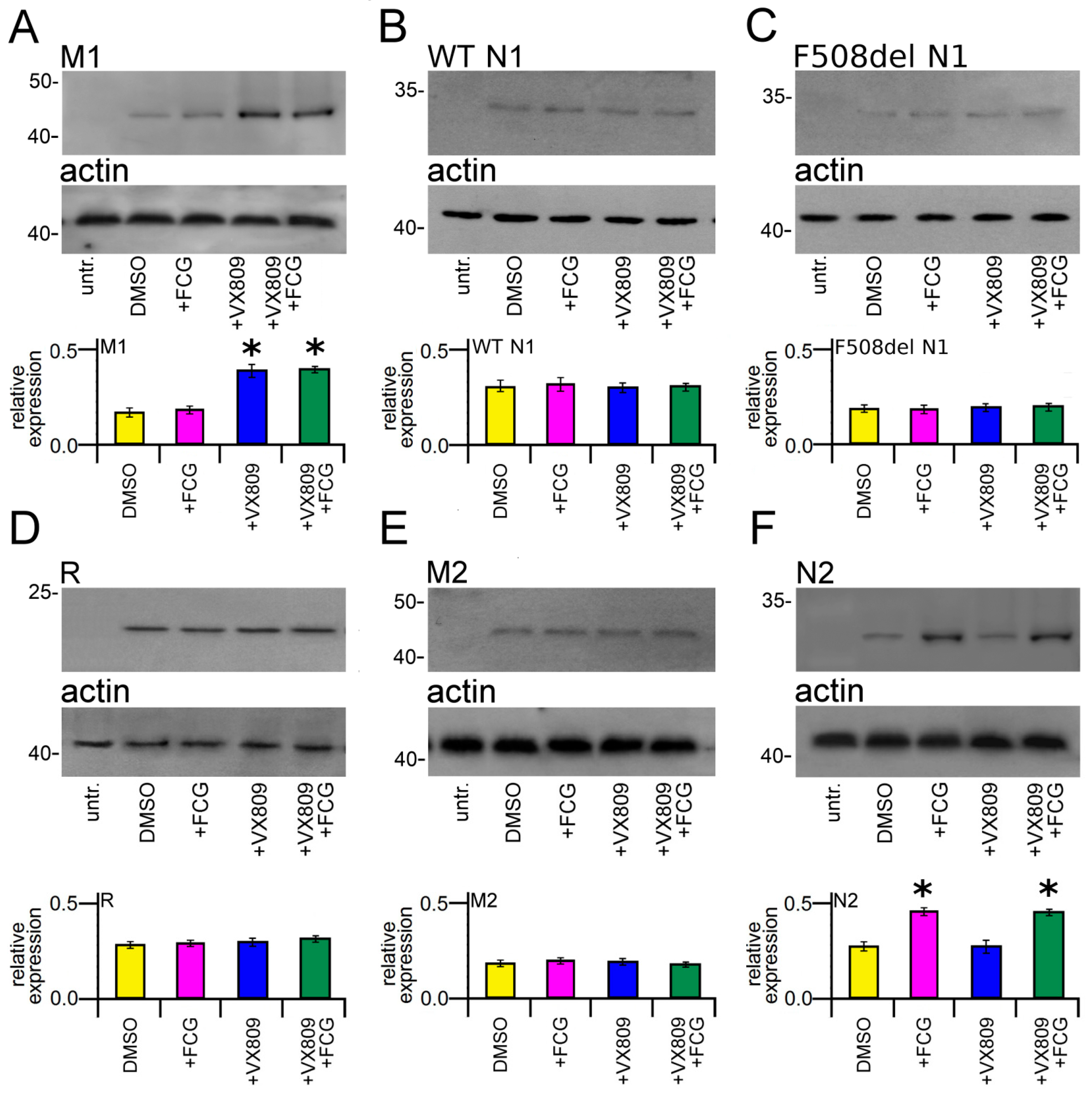 Biomolecules 11 01417 g002