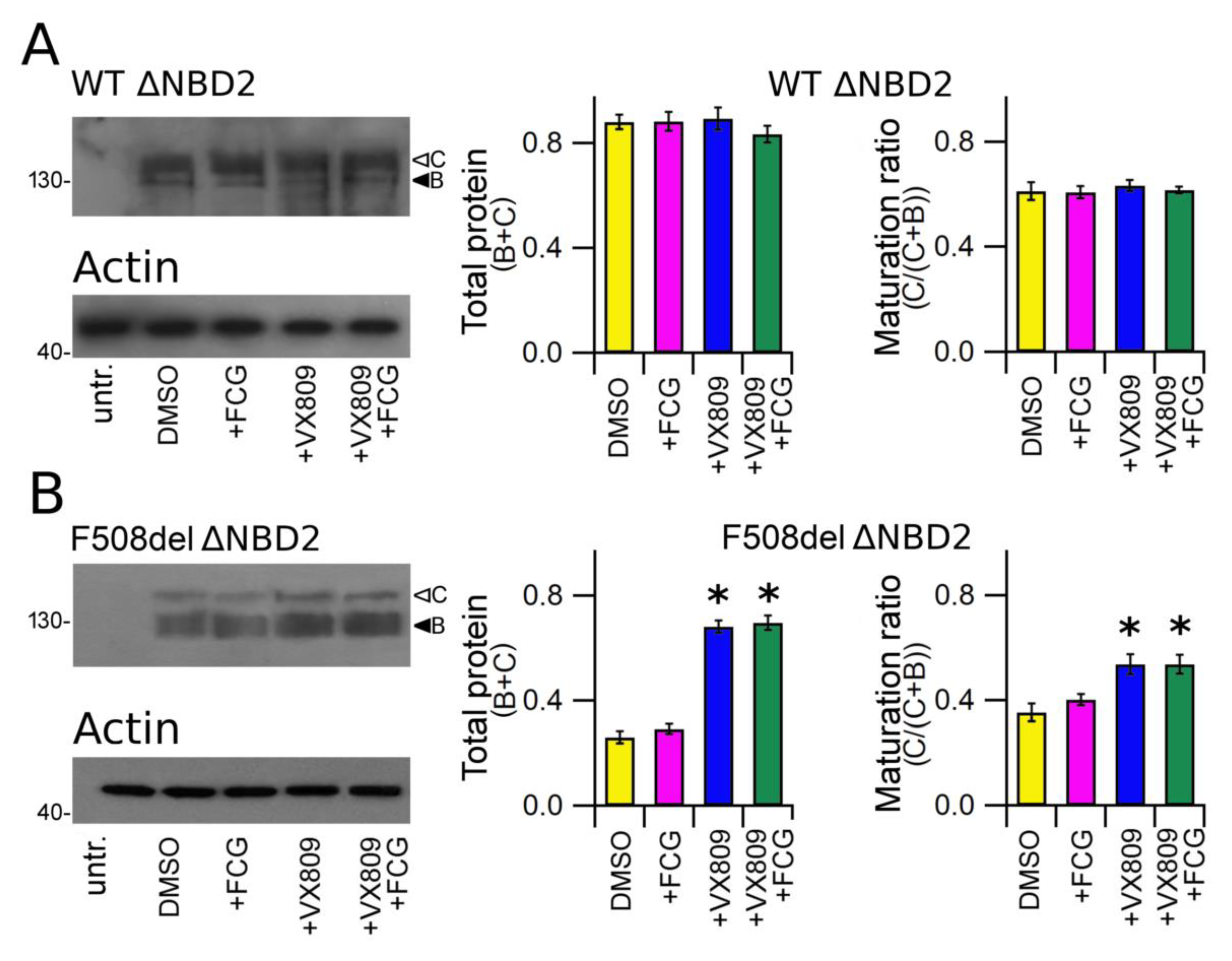 Biomolecules 11 01417 g004