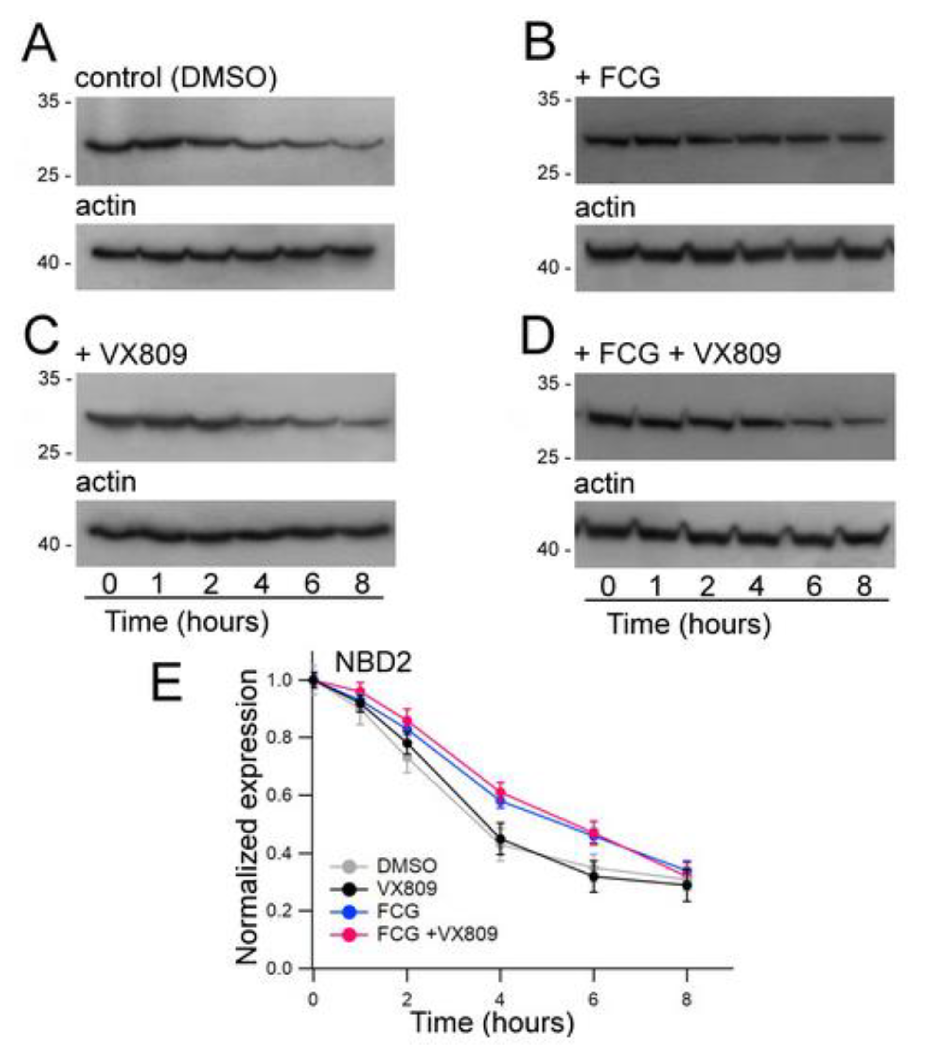 Biomolecules 11 01417 g005
