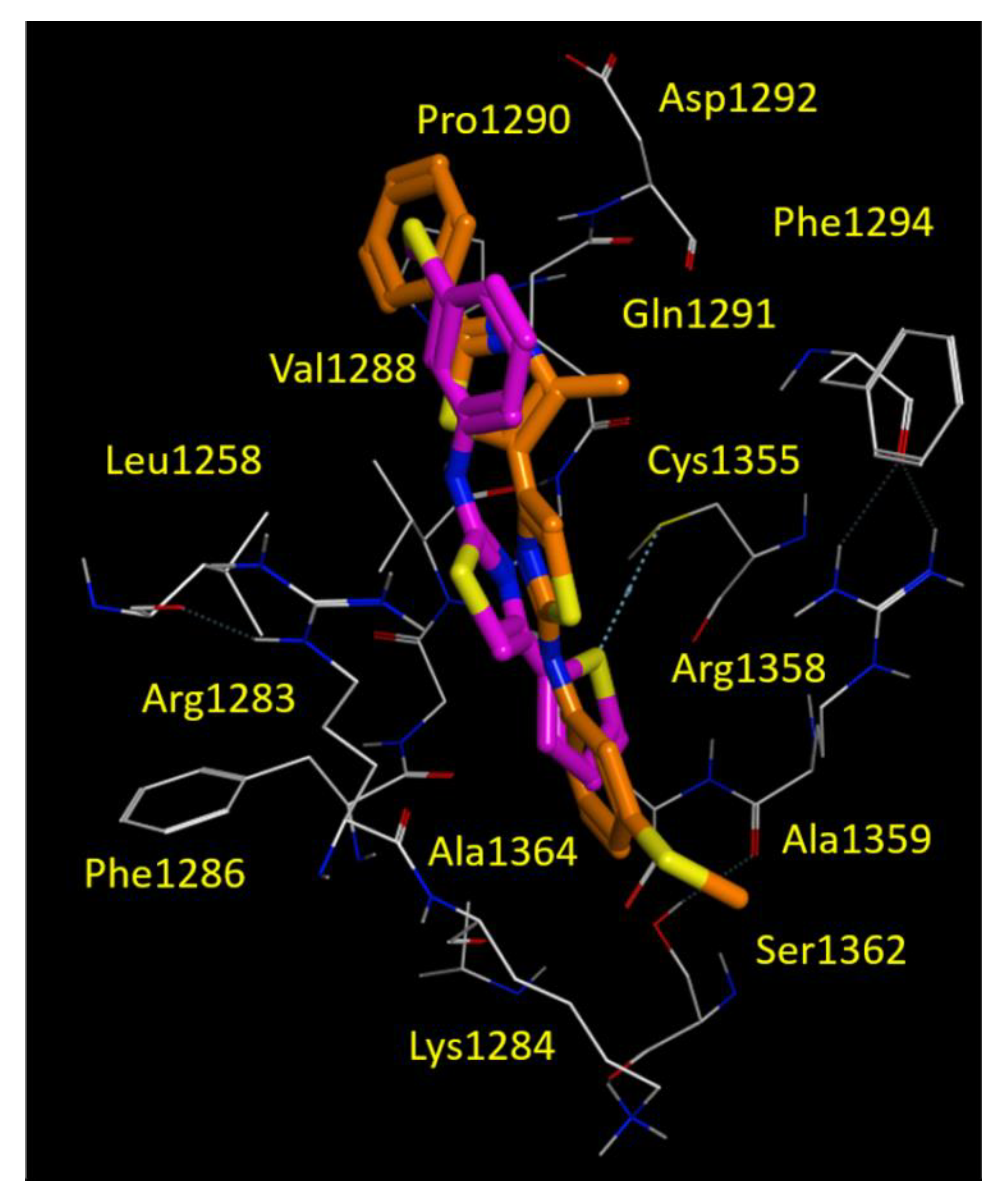 Biomolecules 11 01417 g008