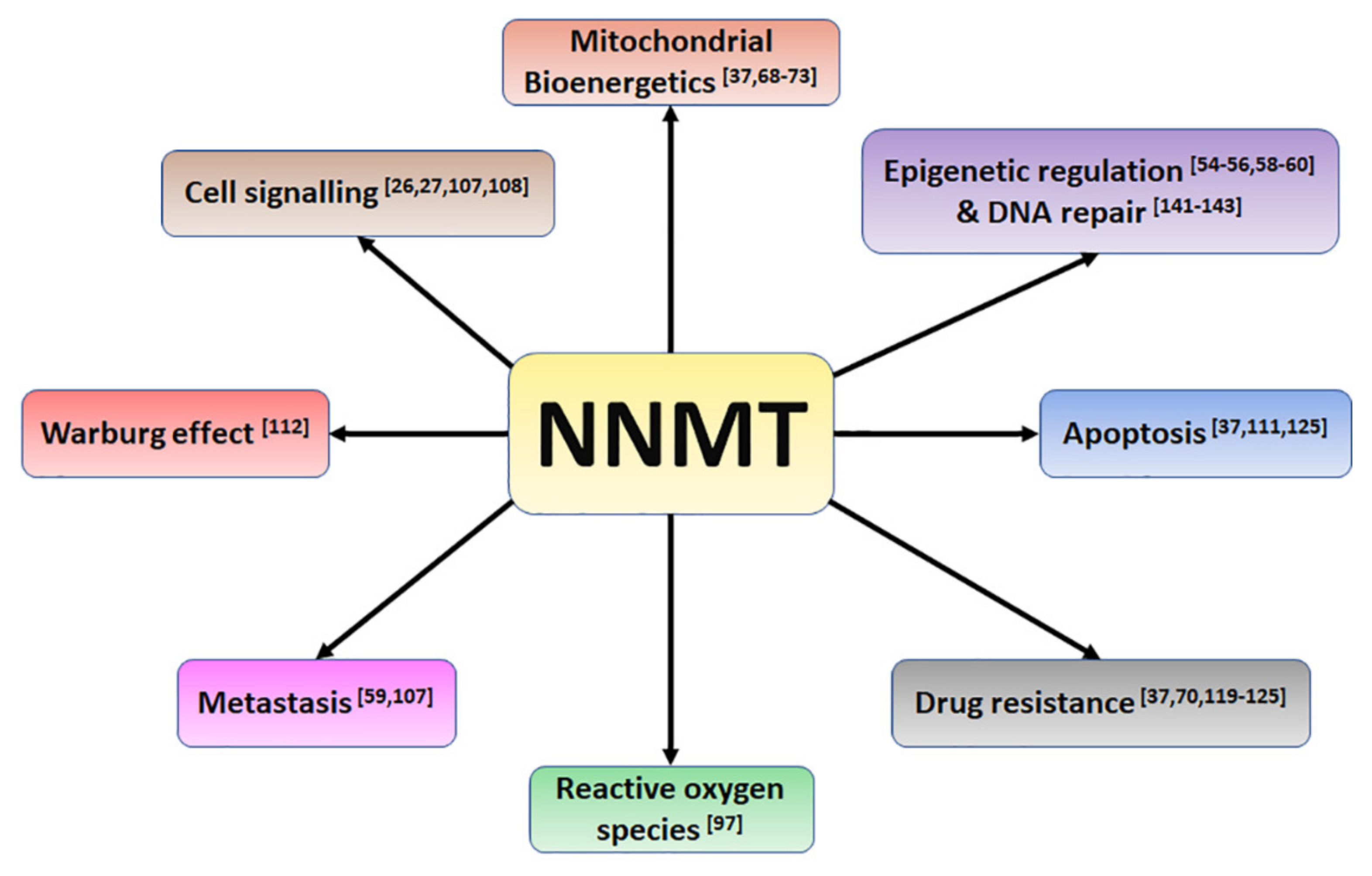 Biomolecules 11 01418 g005 Biomolecules 11 01418 g005