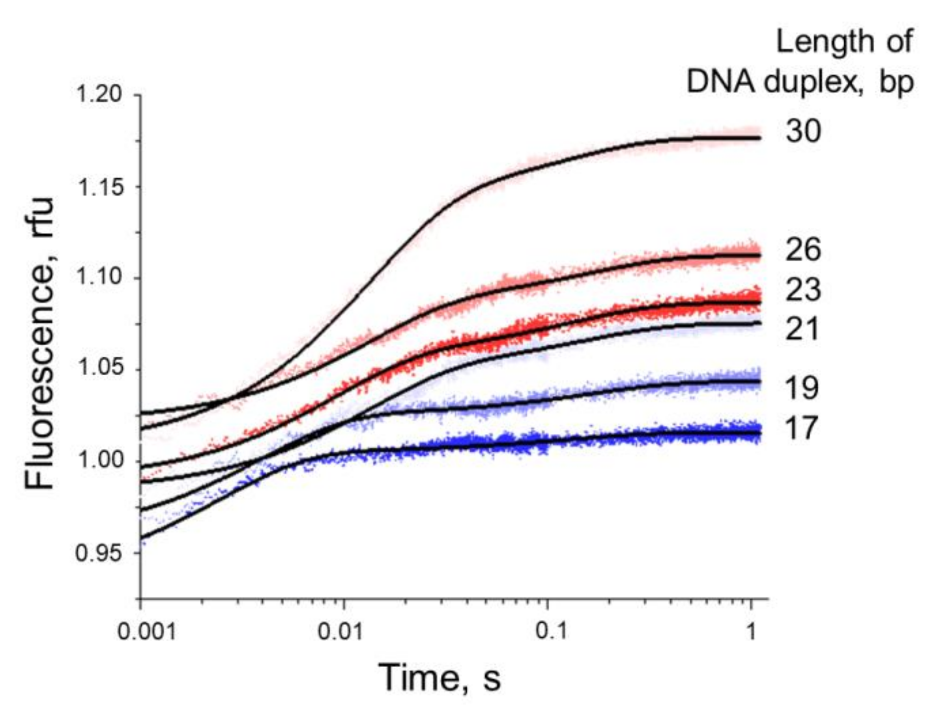 Biomolecules 11 01420 g005 Biomolecules 11 01420 g005