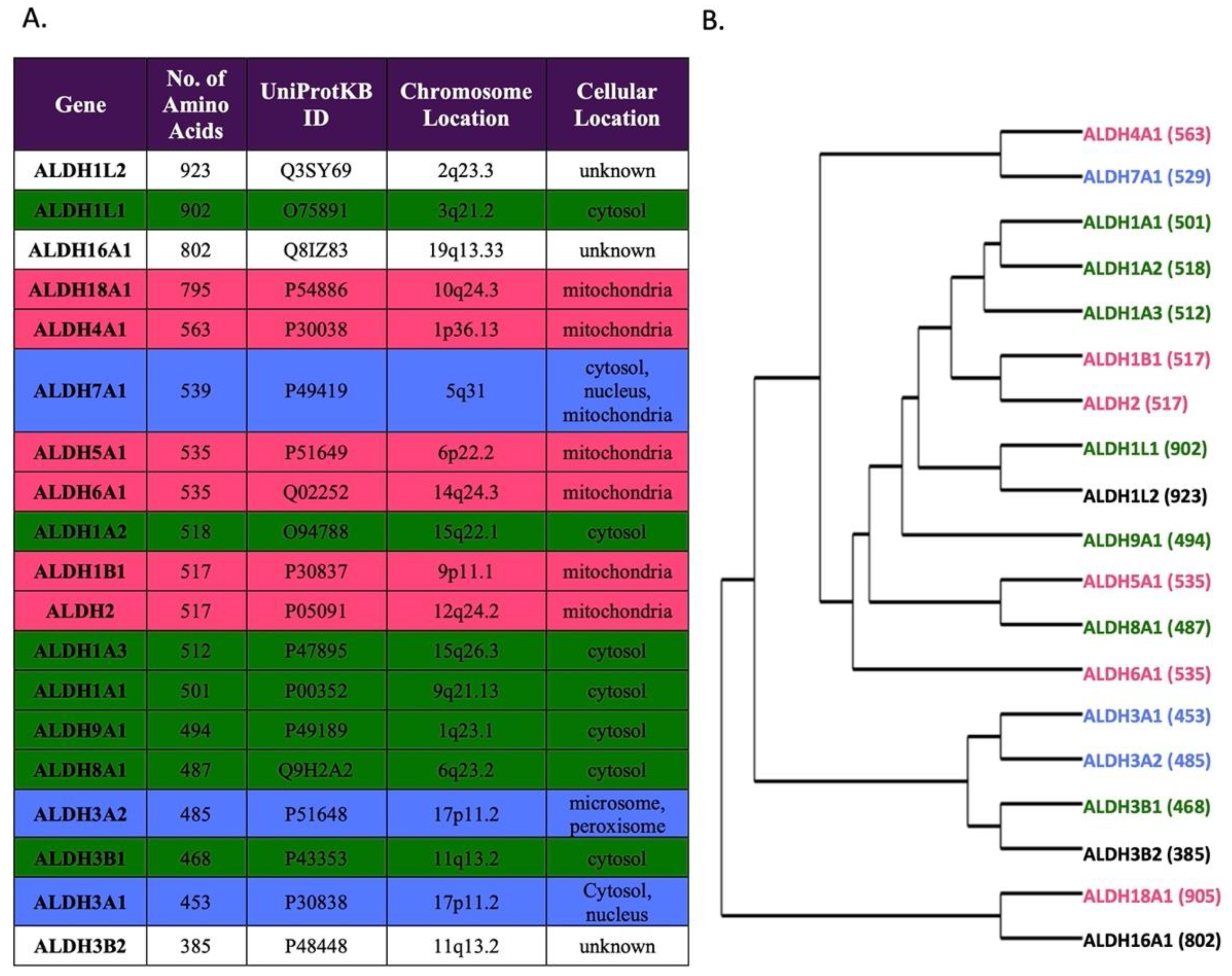 Biomolecules 11 01423 g001 550