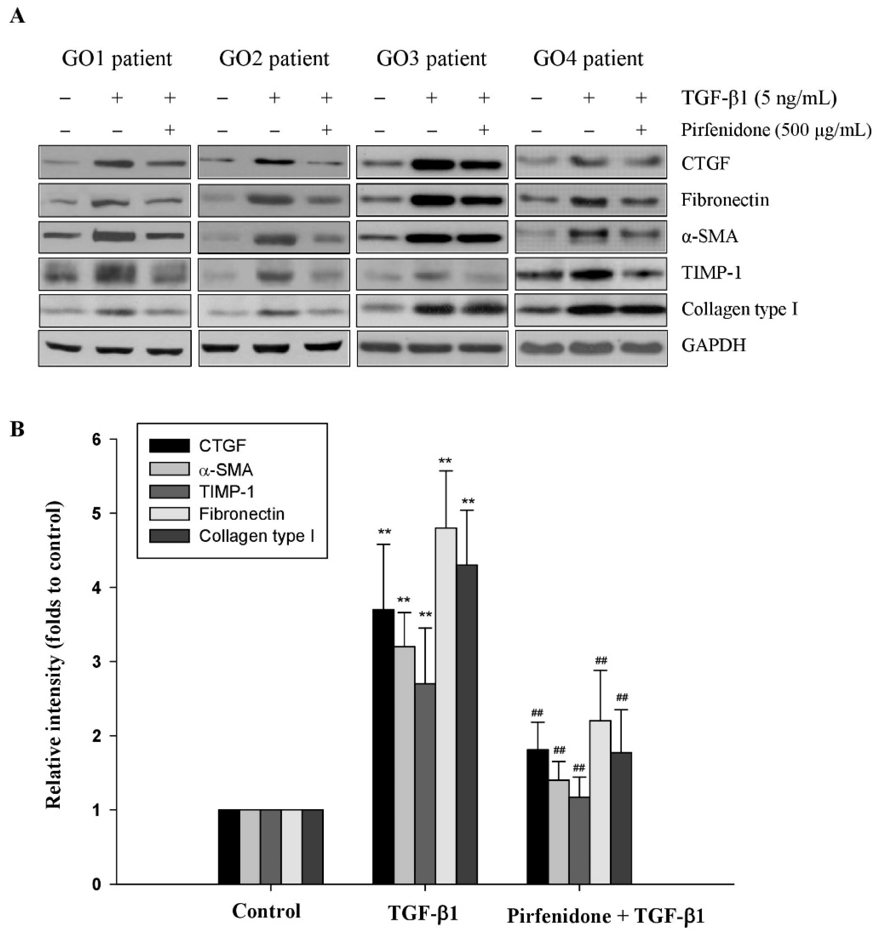 Biomolecules 11 01424 g002