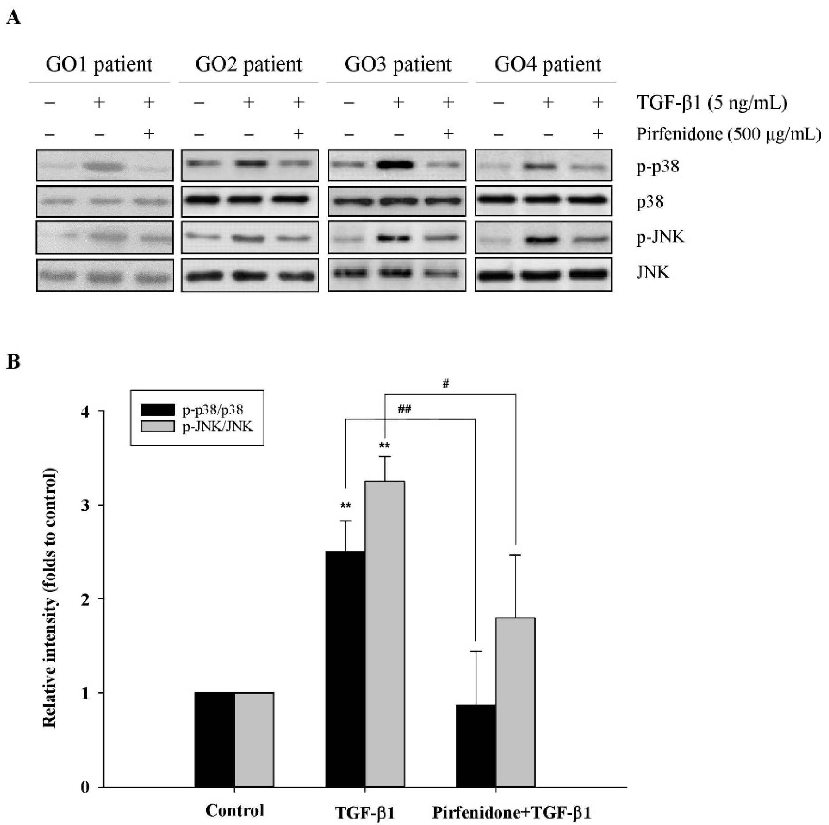 Biomolecules 11 01424 g004