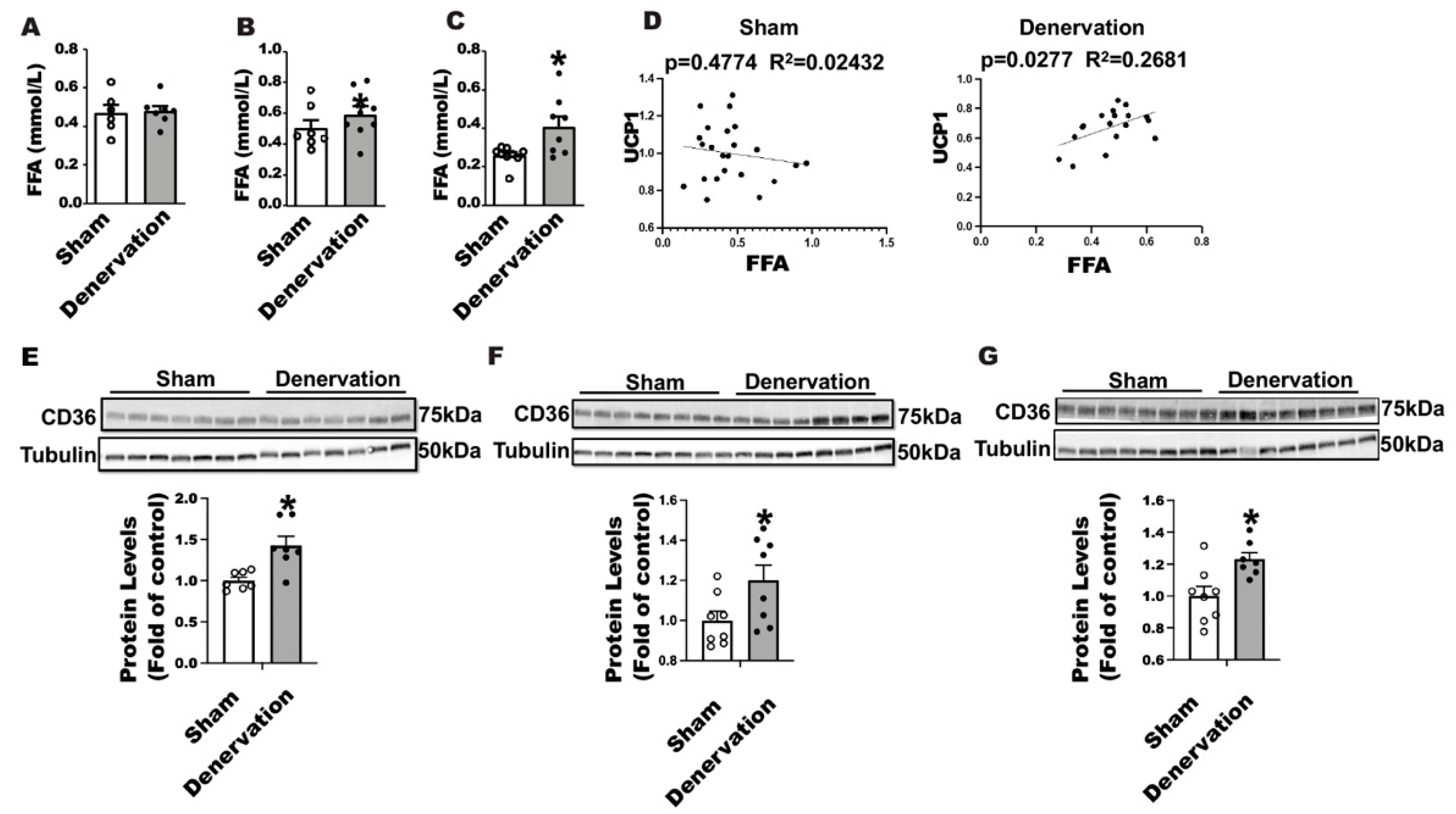 Biomolecules 11 01428 g007 550
