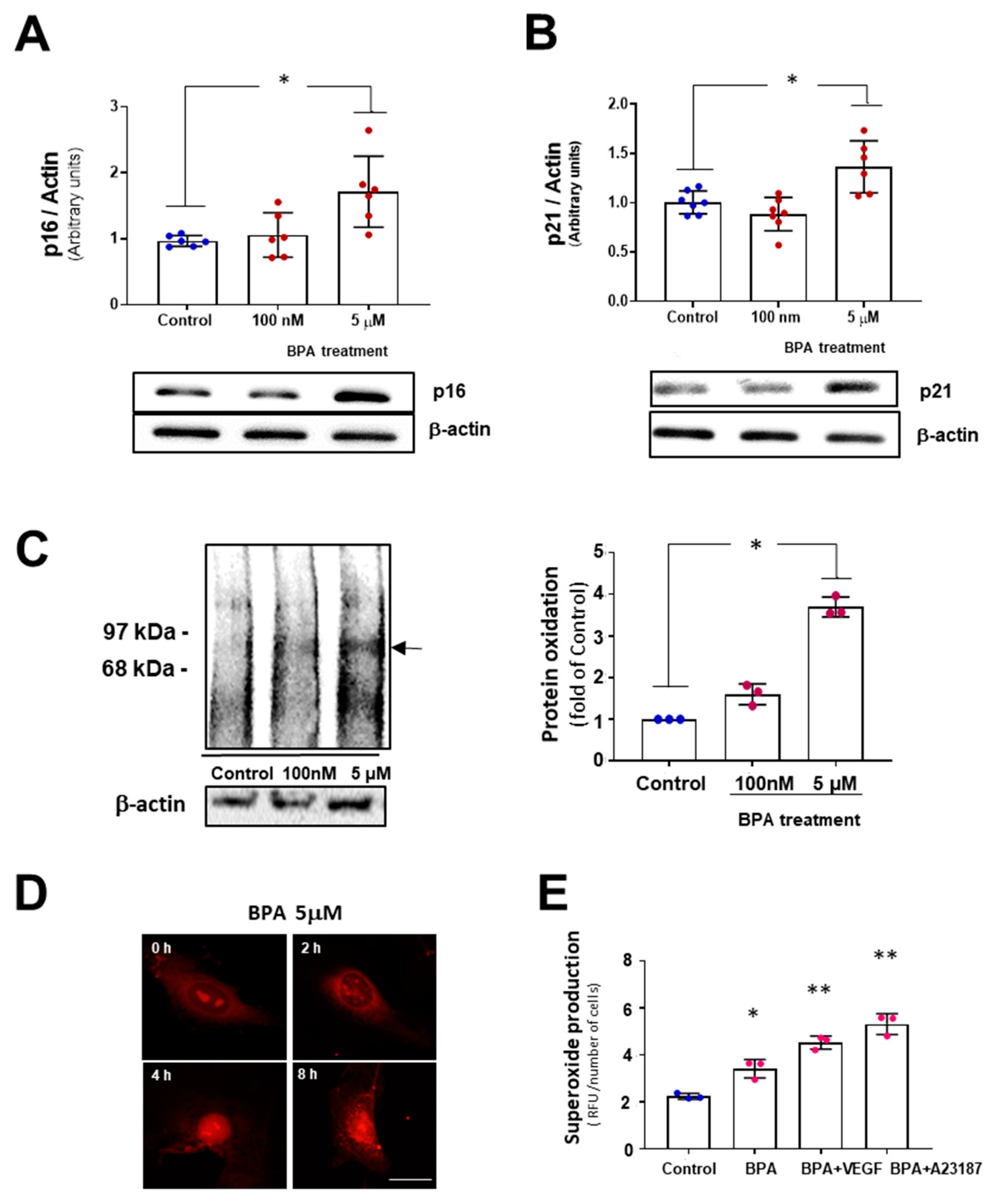 Biomolecules 11 01429 g002 550
