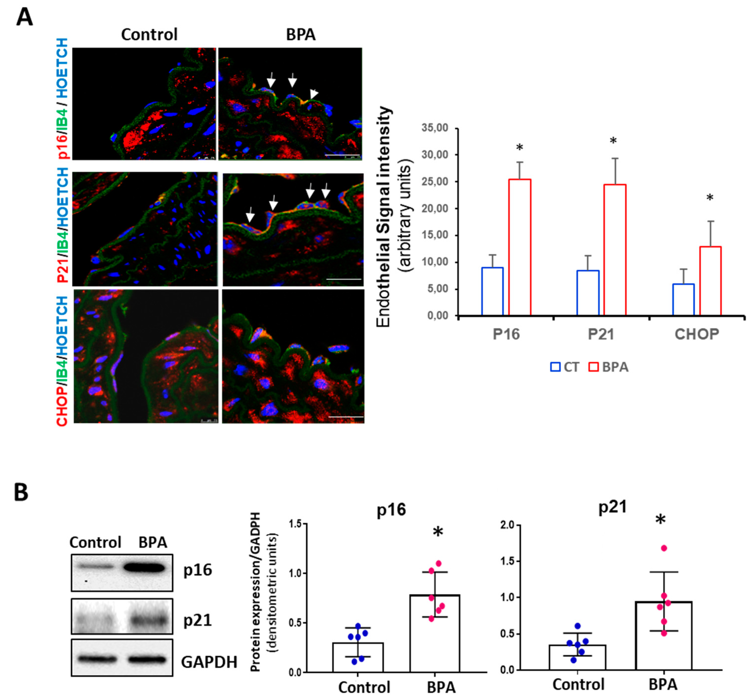 Biomolecules 11 01429 g004 550