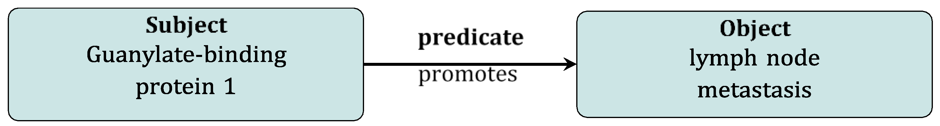 Biomolecules 11 01430 g001