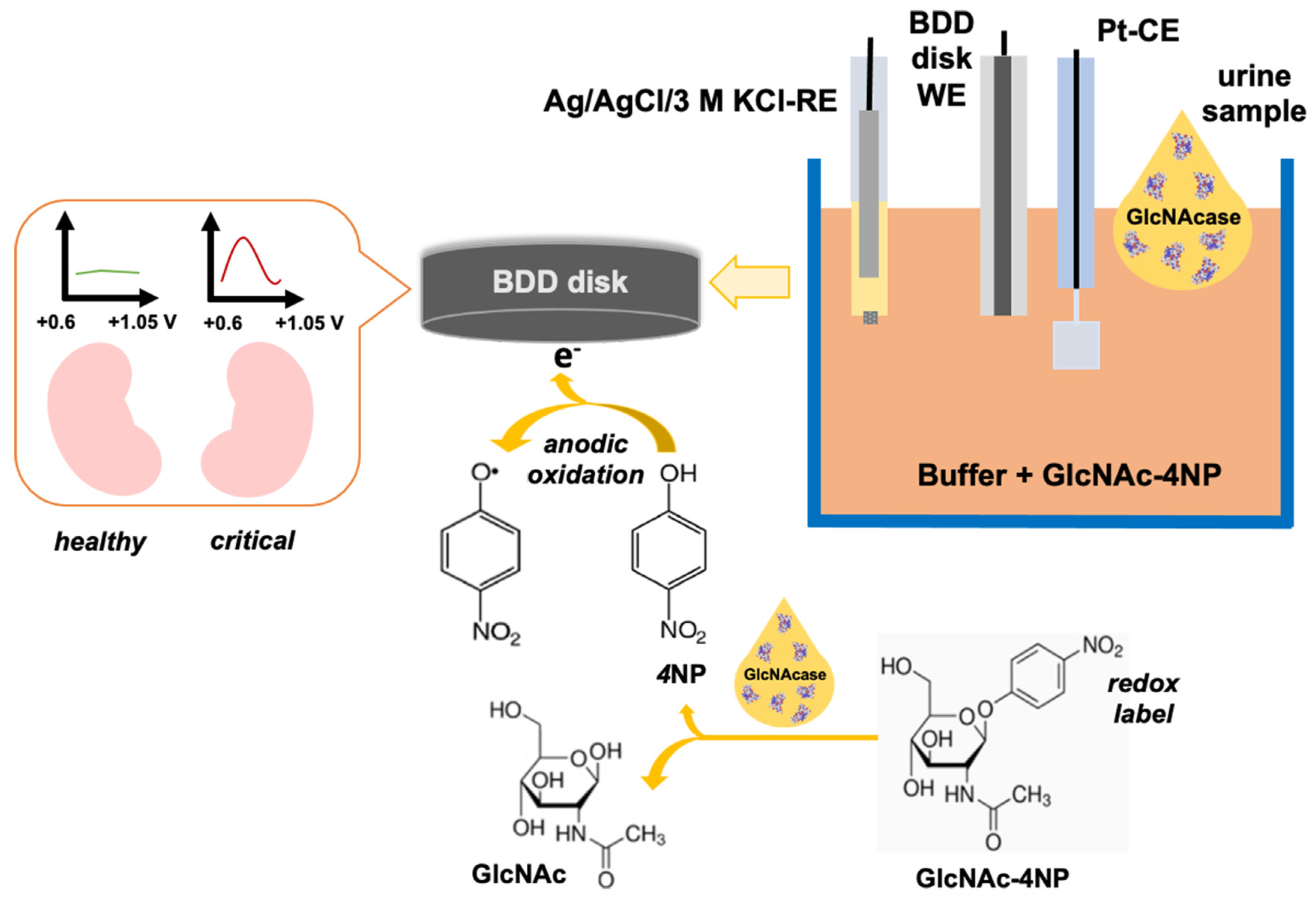 Biomolecules 11 01433 sch001