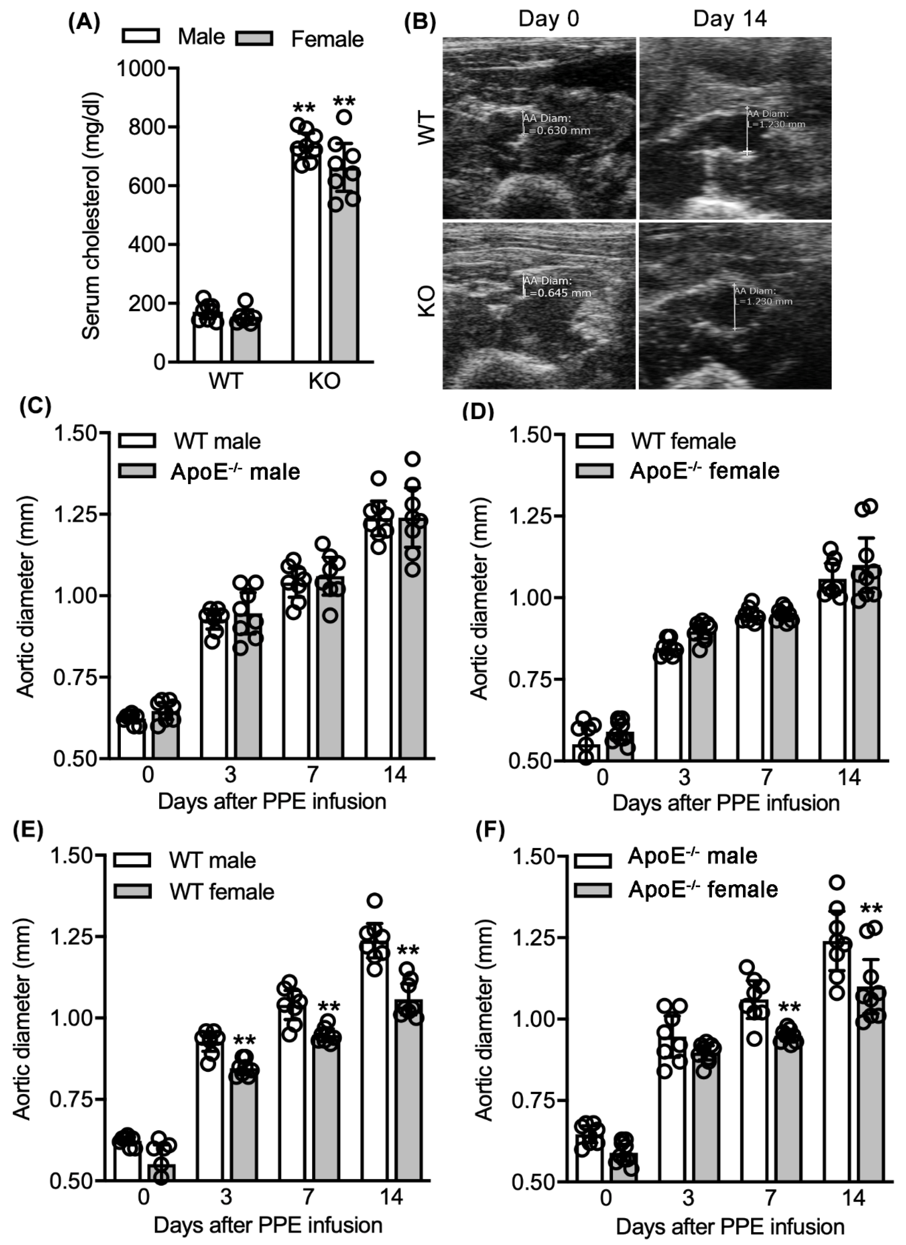 Biomolecules 11 01434 g002