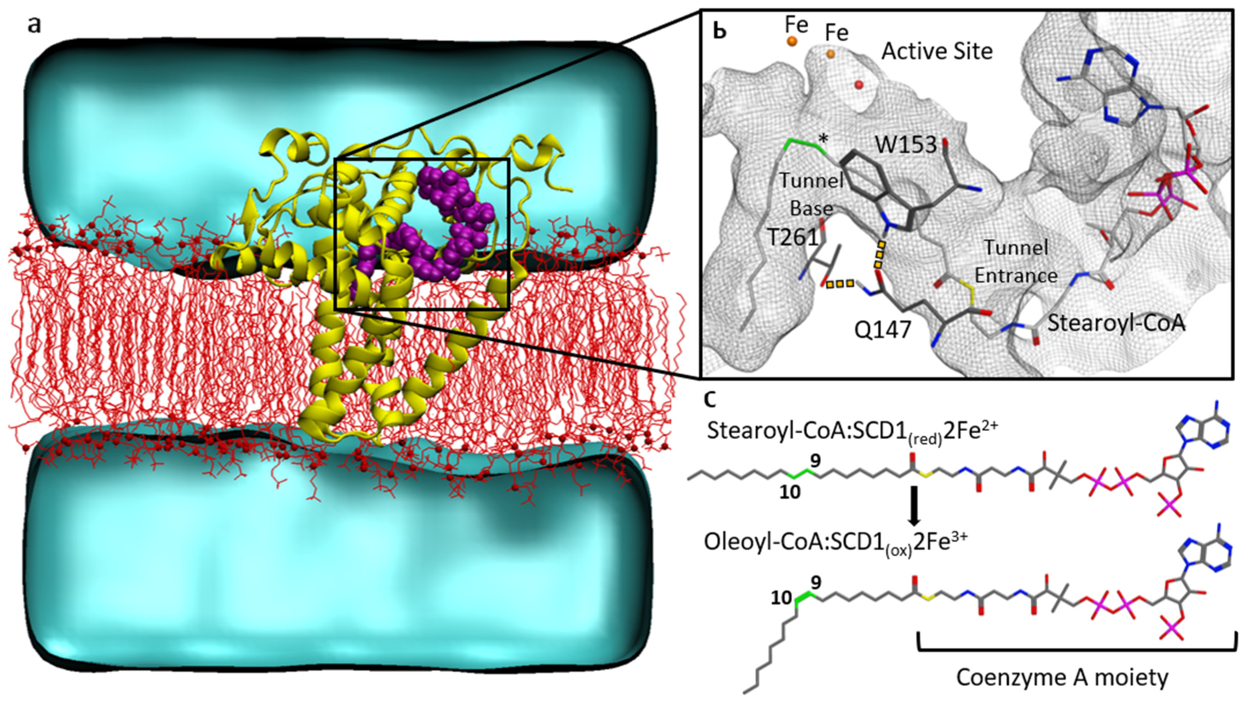 Biomolecules 11 01435 g001 550