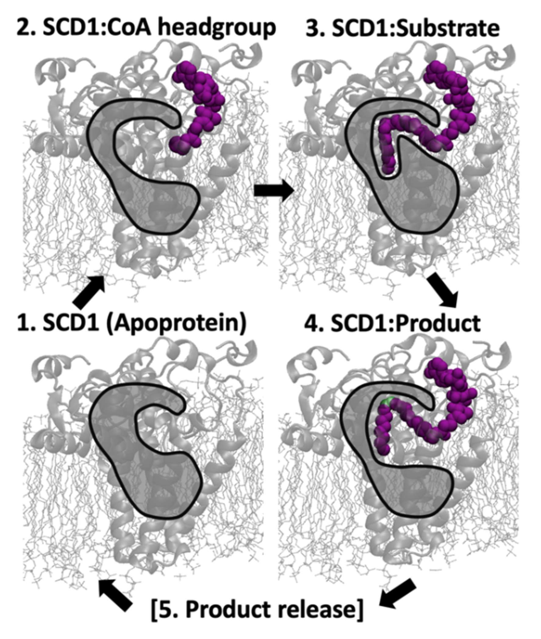 Biomolecules 11 01435 sch001 550