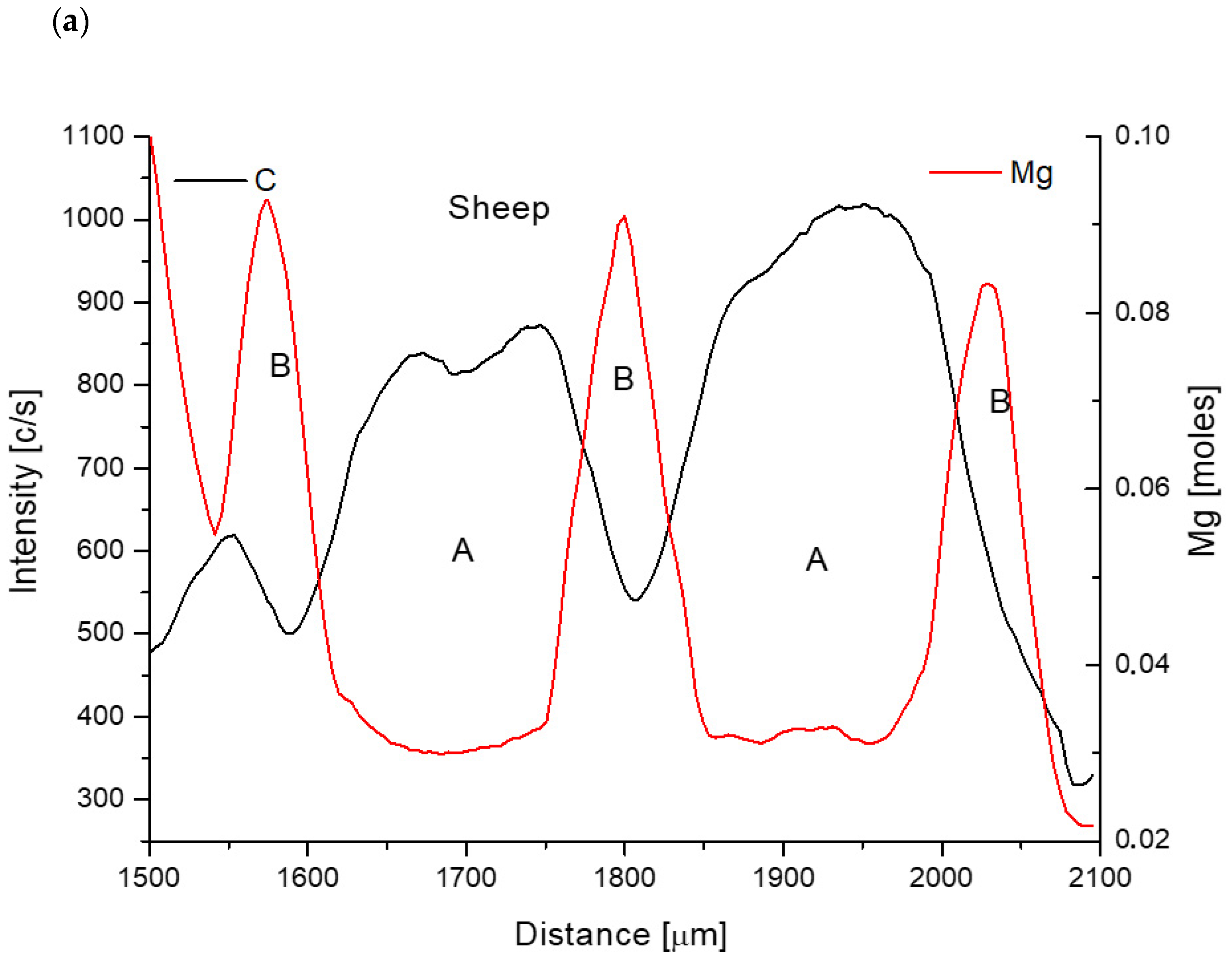Biomolecules 11 01436 g004a