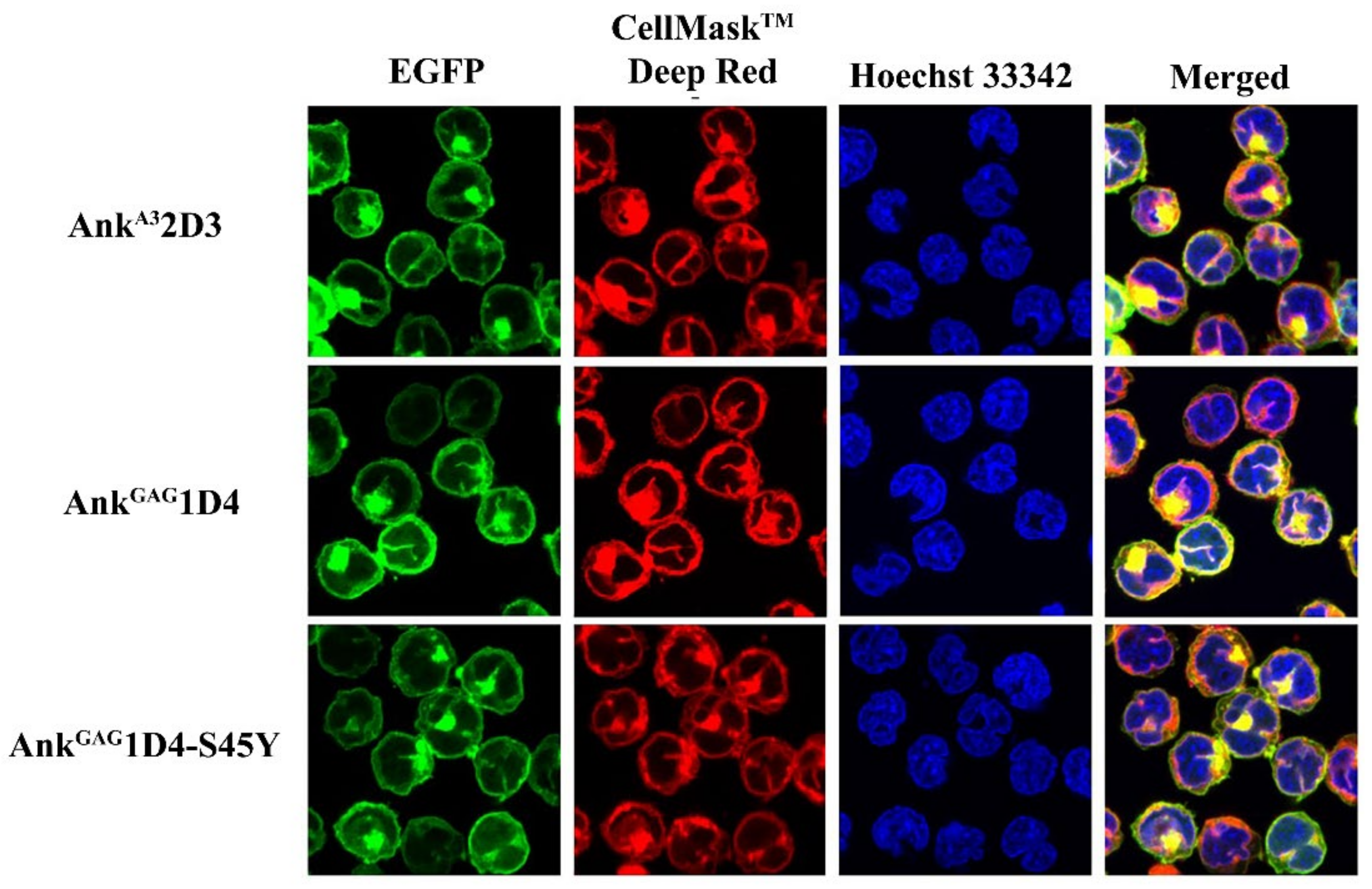 Biomolecules 11 01437 g002