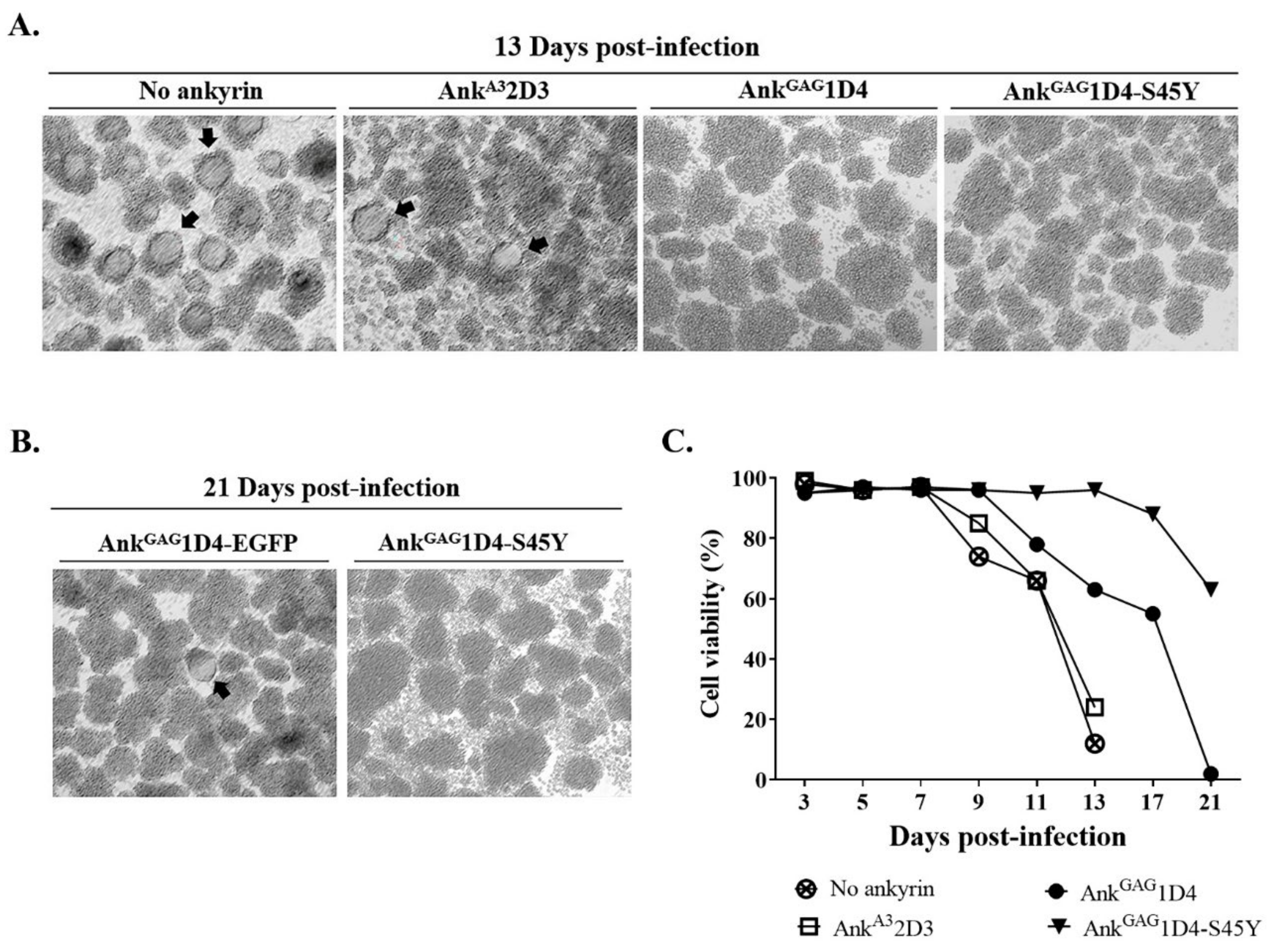 Biomolecules 11 01437 g008