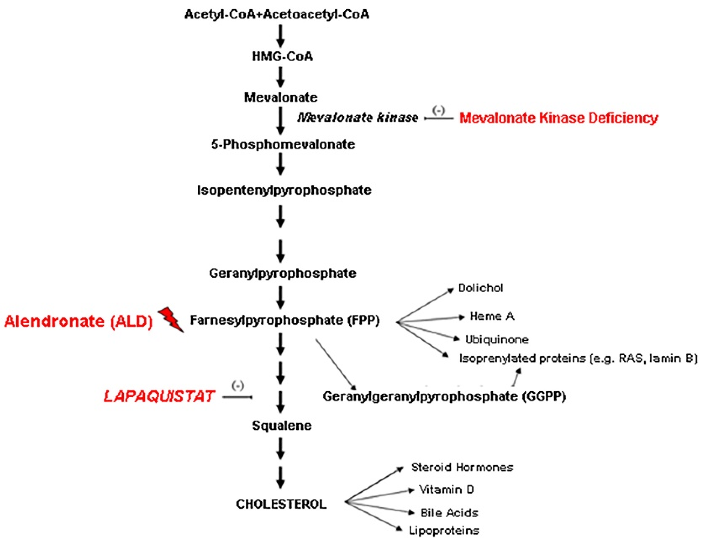 Biomolecules 11 01438 g001 550
