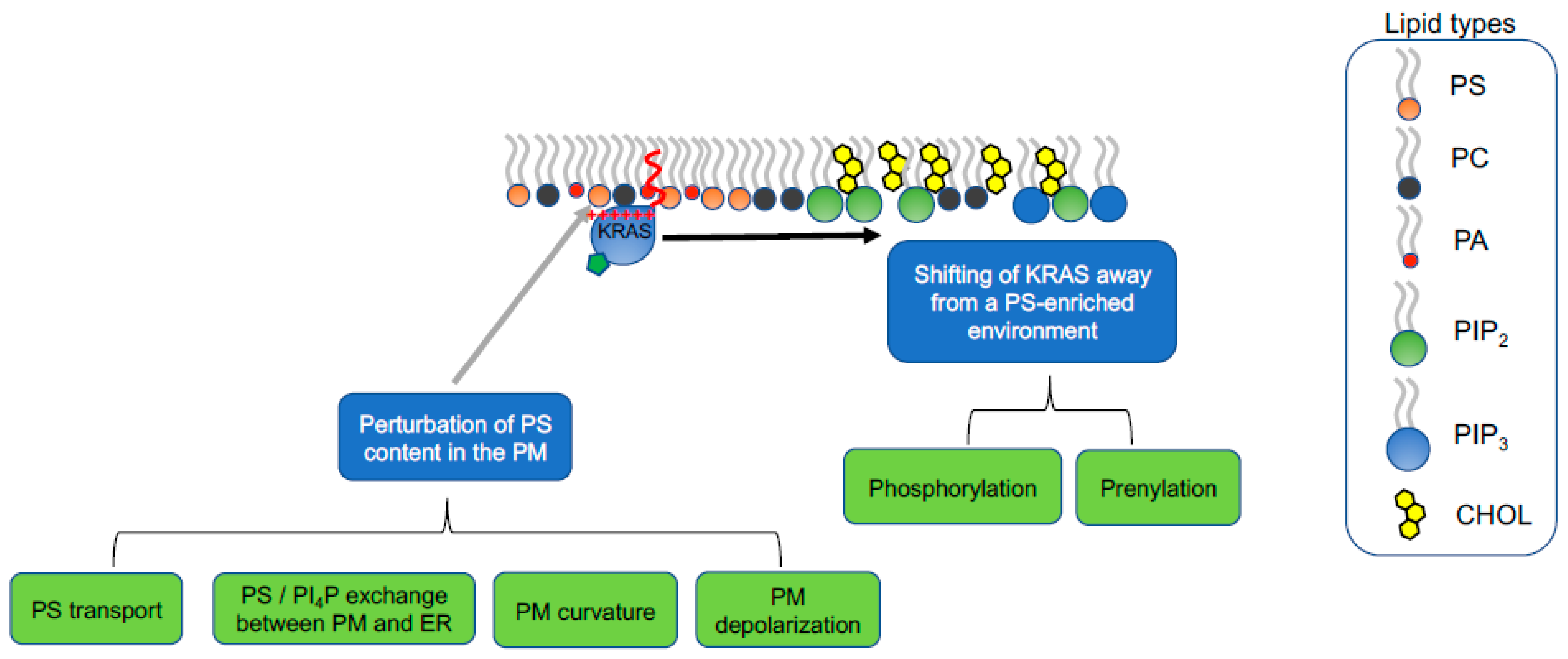 Biomolecules 11 01439 g006