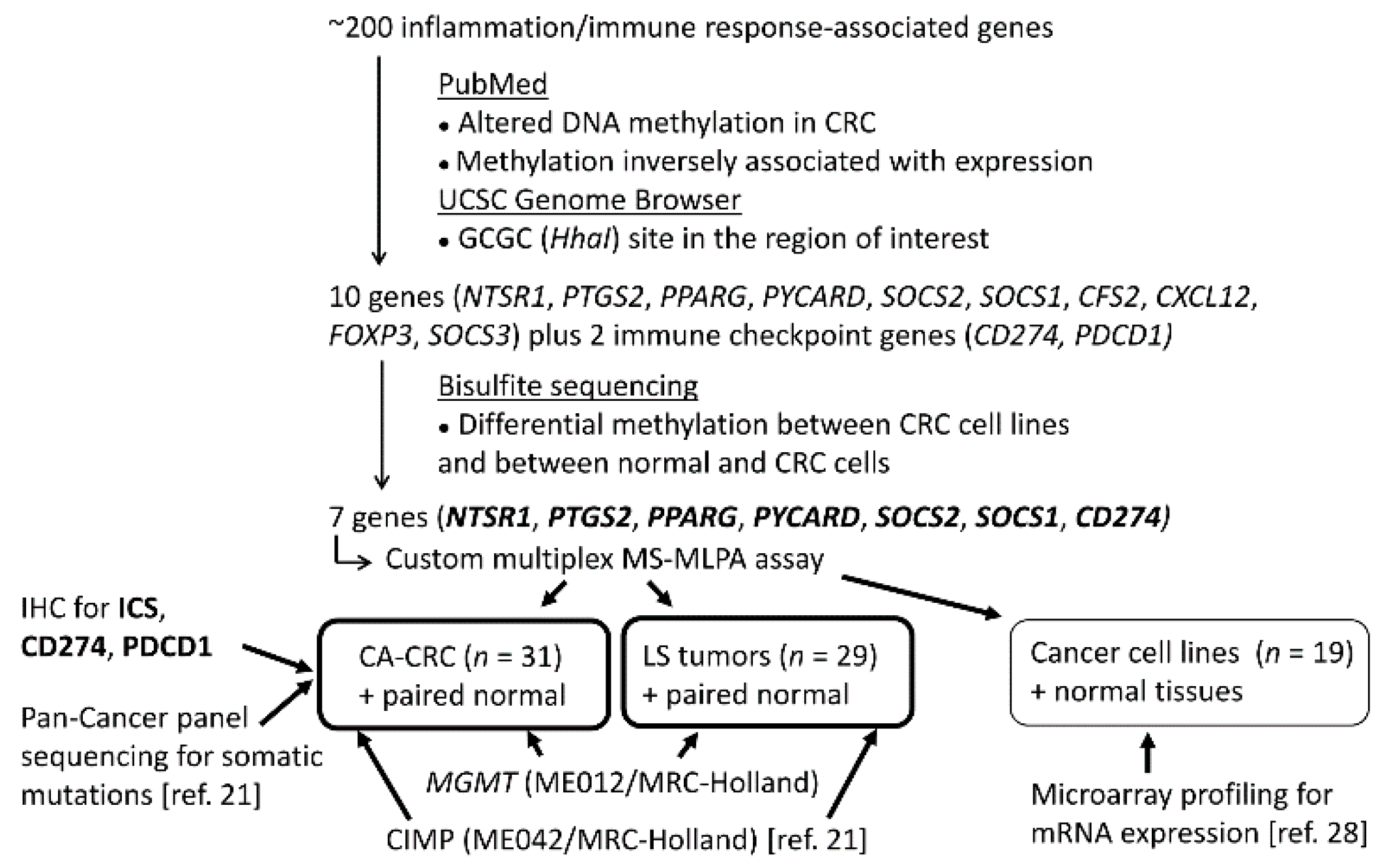 Biomolecules 11 01440 g001