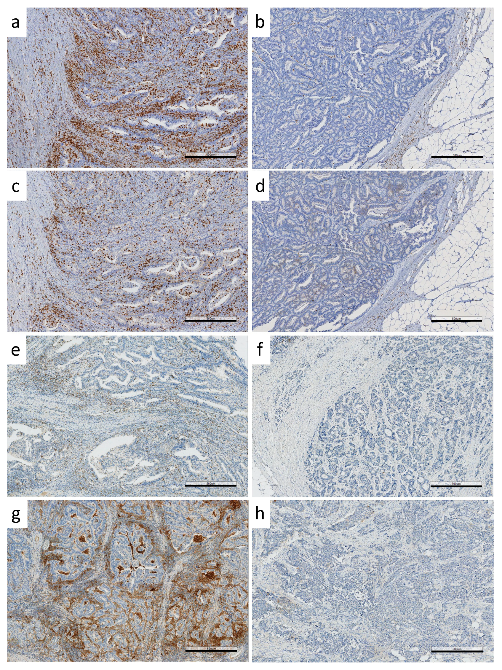 Biomolecules 11 01440 g002