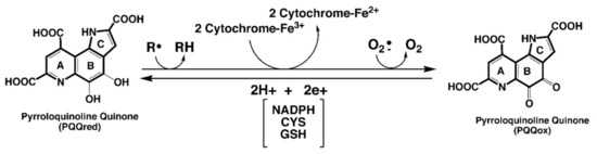 RETEN Pyrroloquinoline-Quinone Is More Than an Antioxidant: A Vitamin ... Pyrroloquinoline-Quinone Is More Than an Antioxidant: A Vitamin ...  