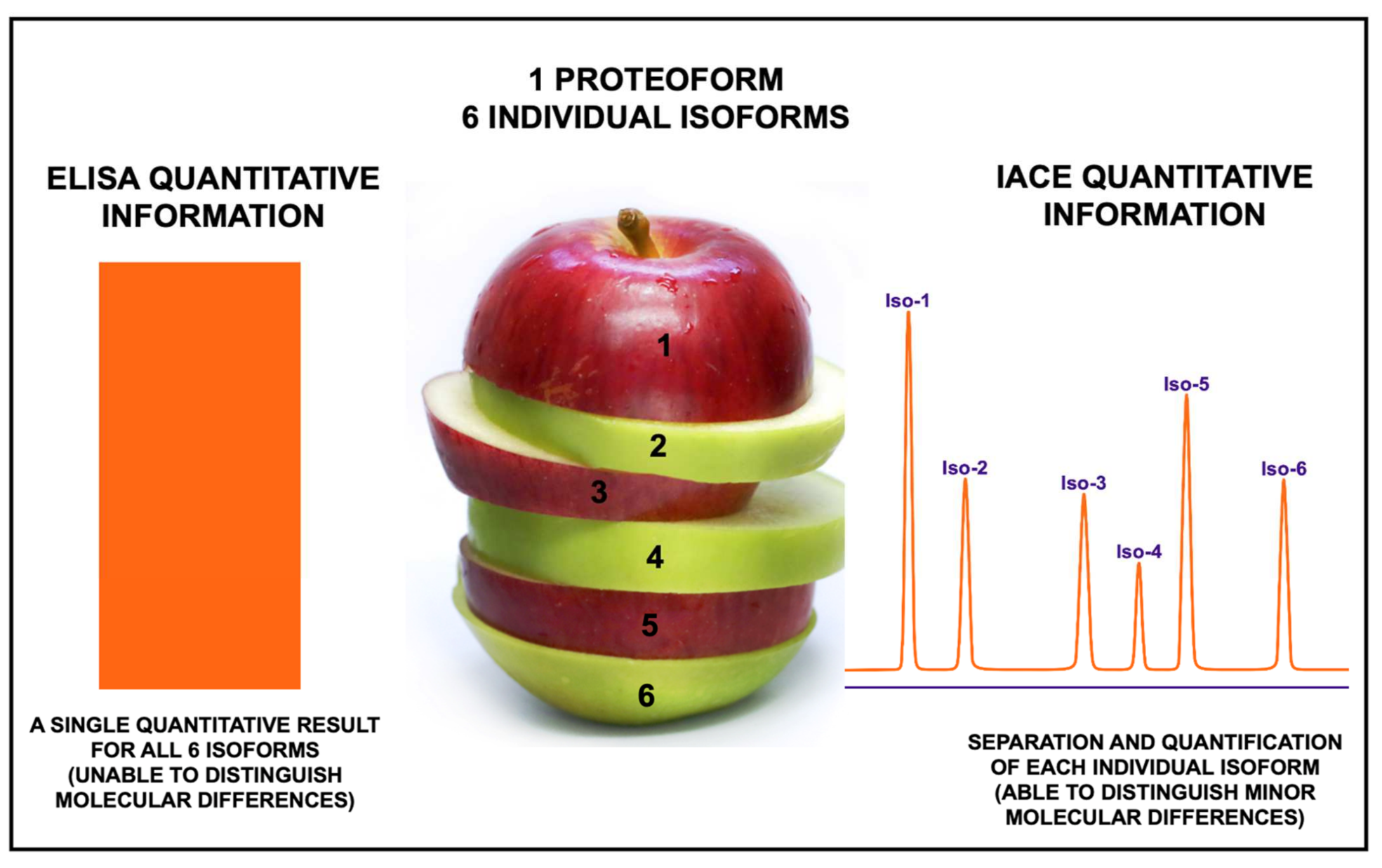 Biomolecules 11 01443 g005
