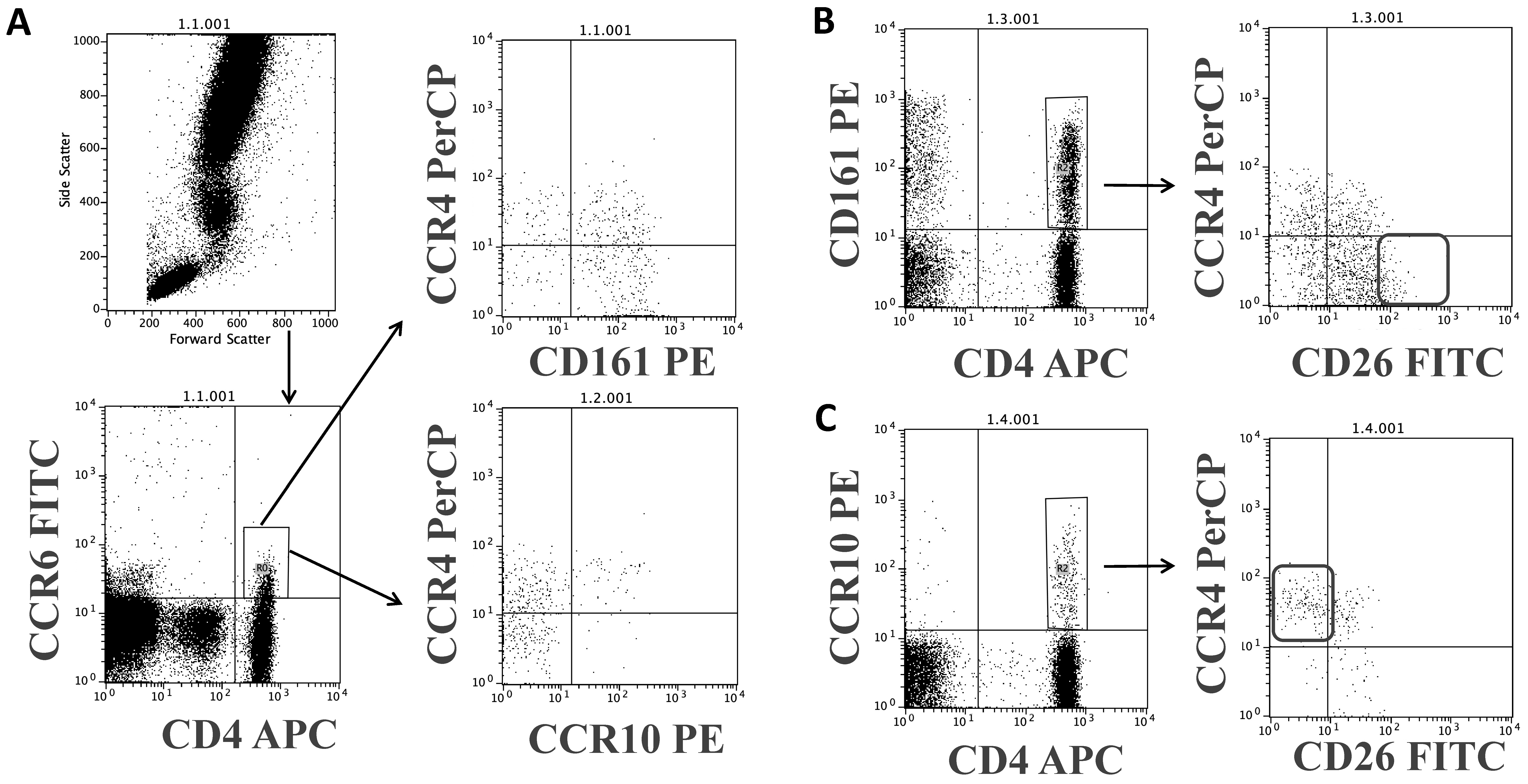 Biomolecules 11 01446 g005