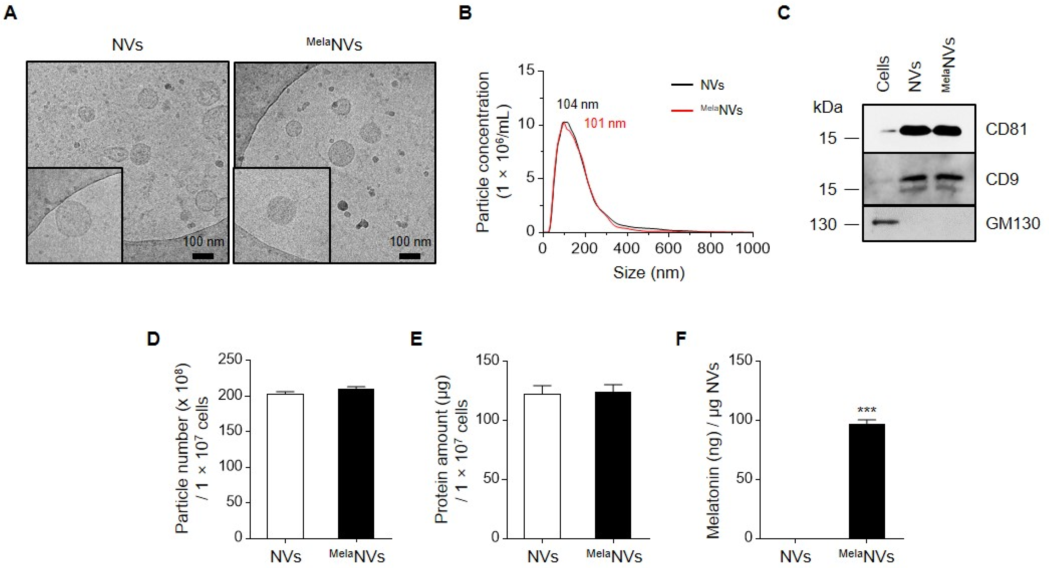 Biomolecules 11 01450 g001