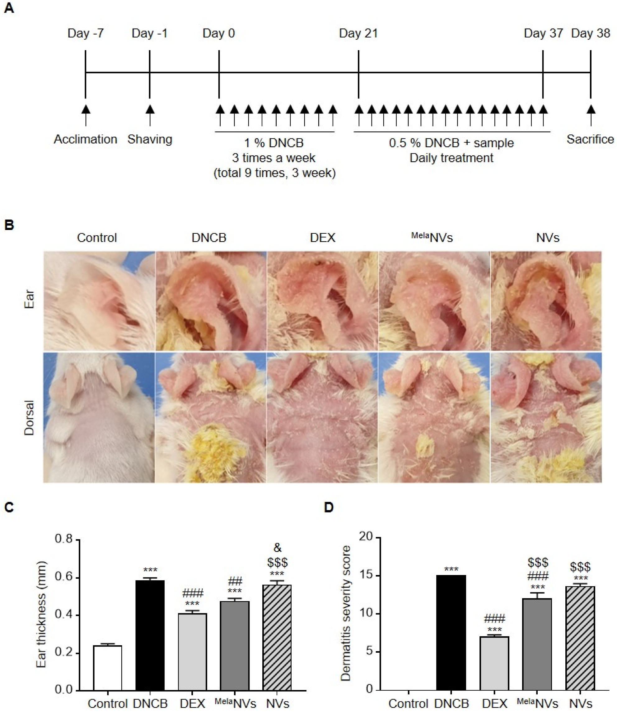 Biomolecules 11 01450 g003
