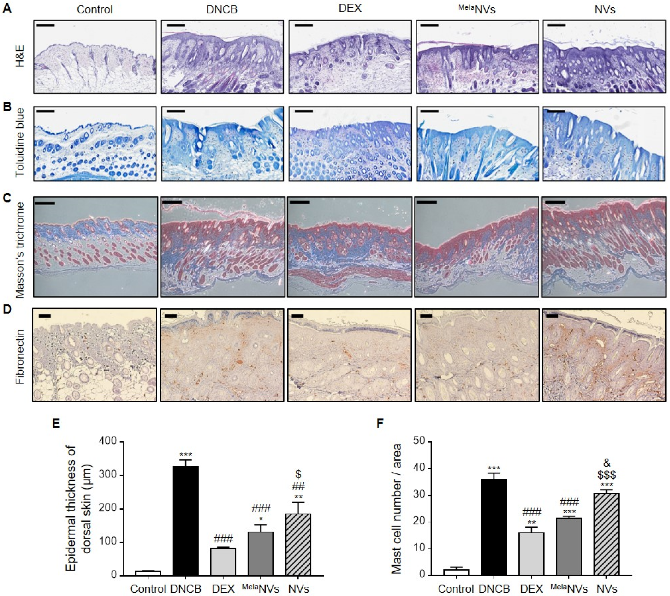 Biomolecules 11 01450 g004