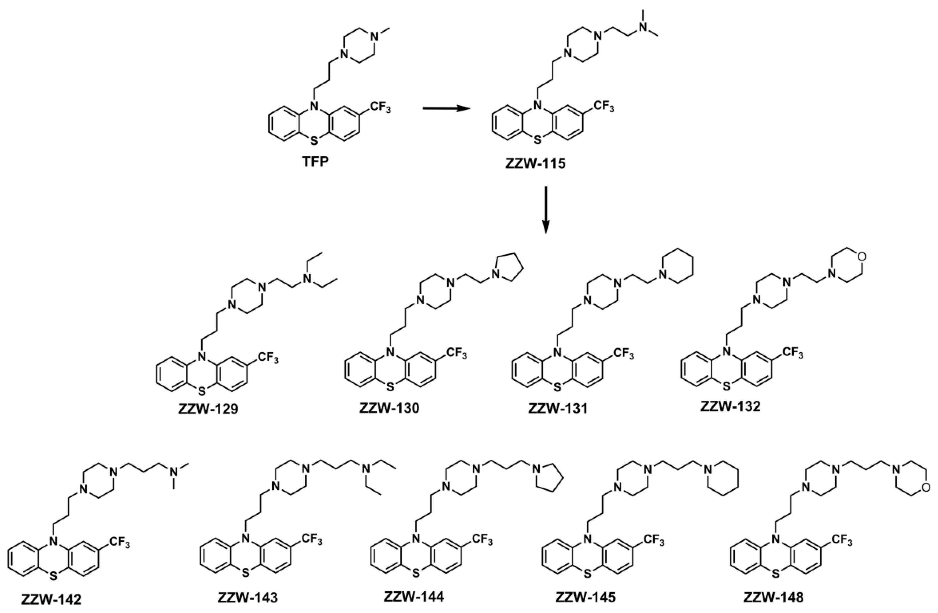 Biomolecules 11 01453 g001 550