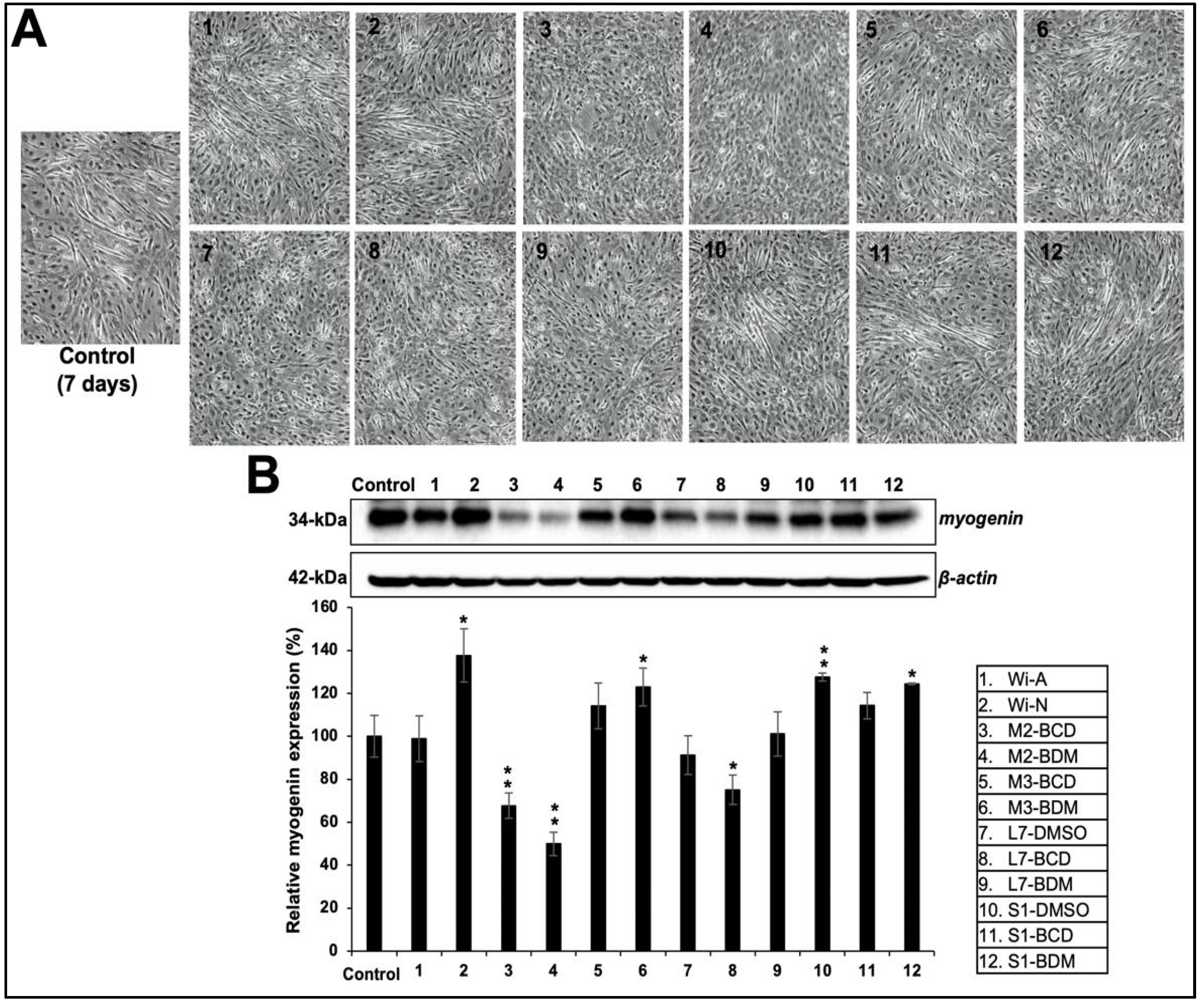 Biomolecules 11 01454 g004