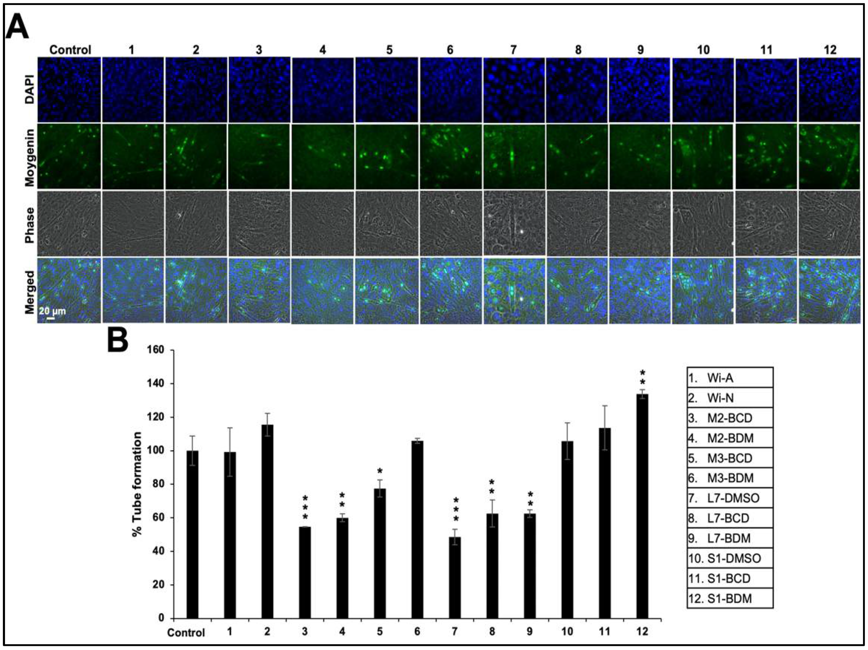 Biomolecules 11 01454 g005